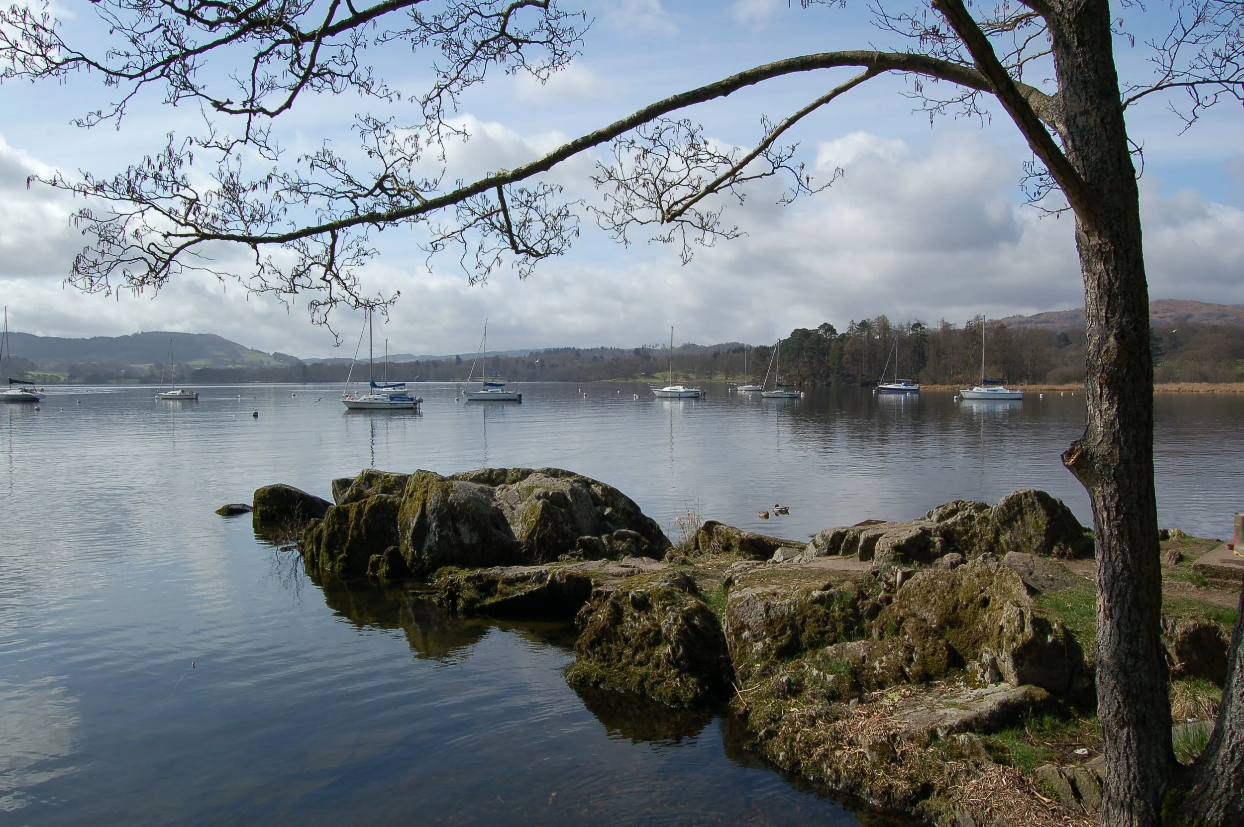 DSC_0082.jpg