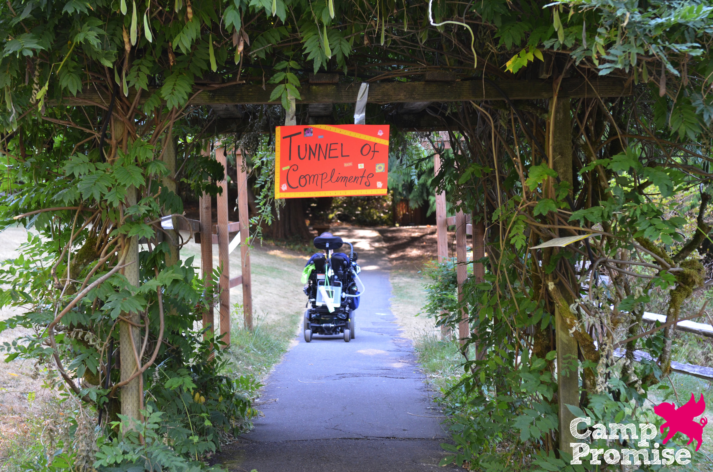 DSC_0199-imp.jpg