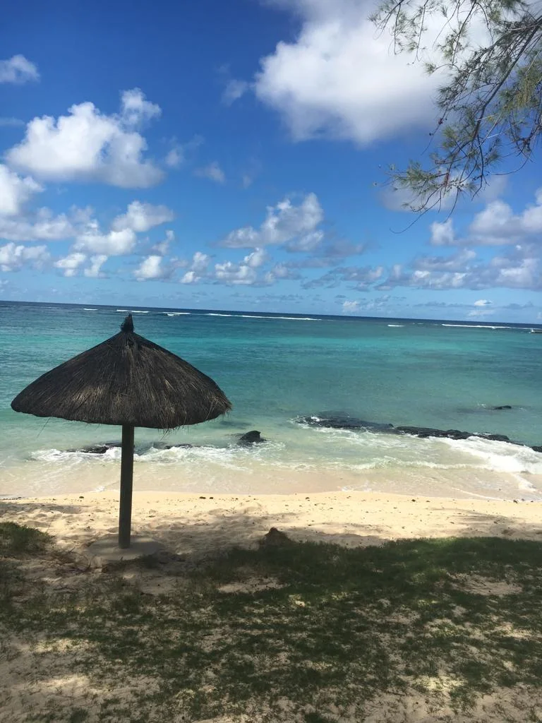 Rodrigues&nbsp;: un confetti dans l’océan indien