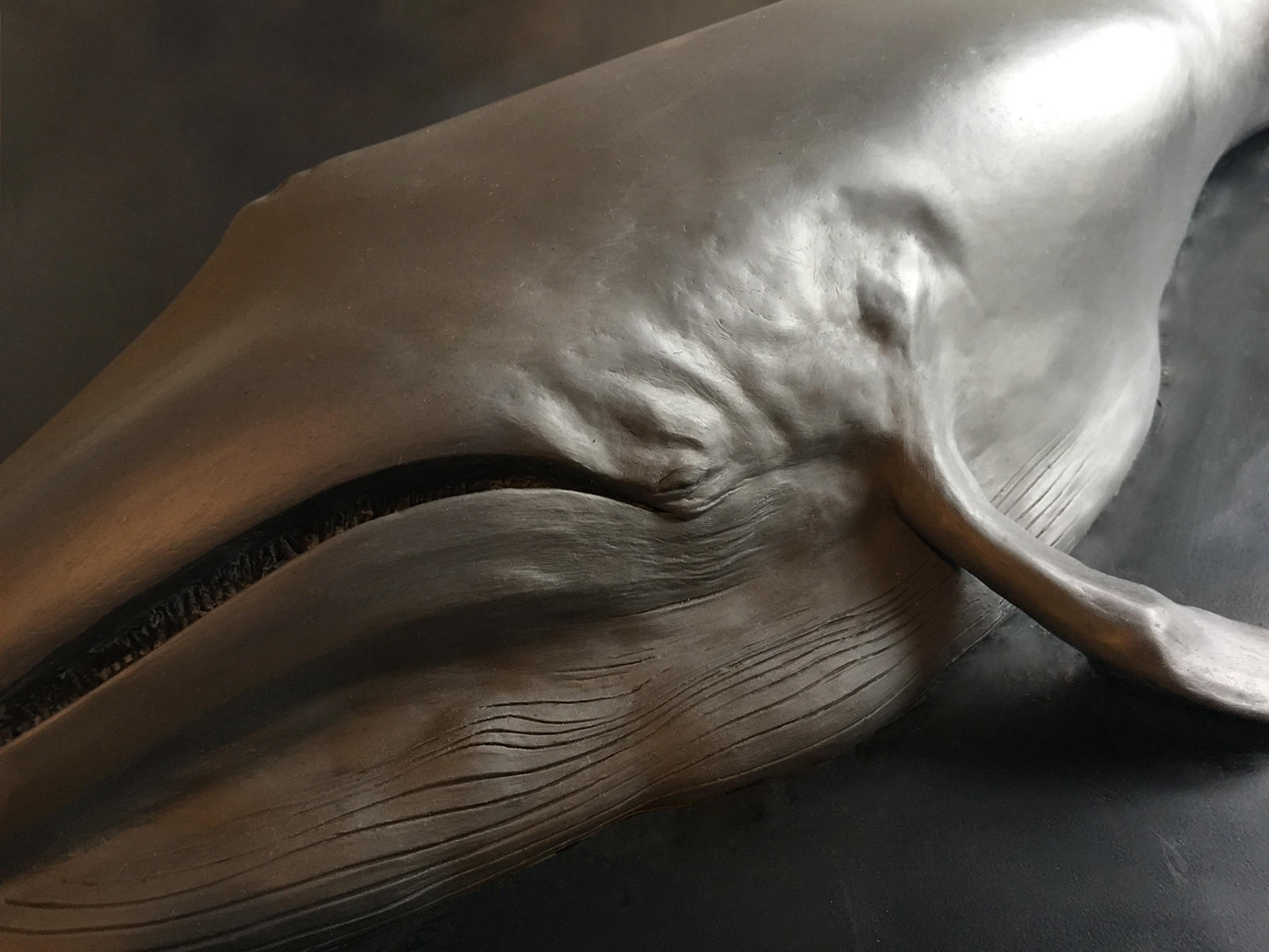 fin_whale_DETAIL_chisel_and_vice1a.jpg