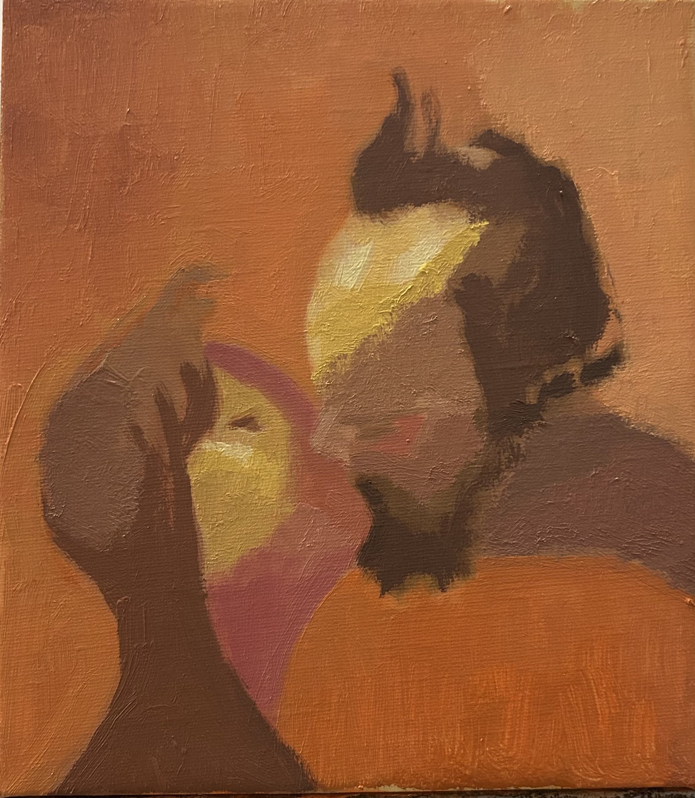 Embrace