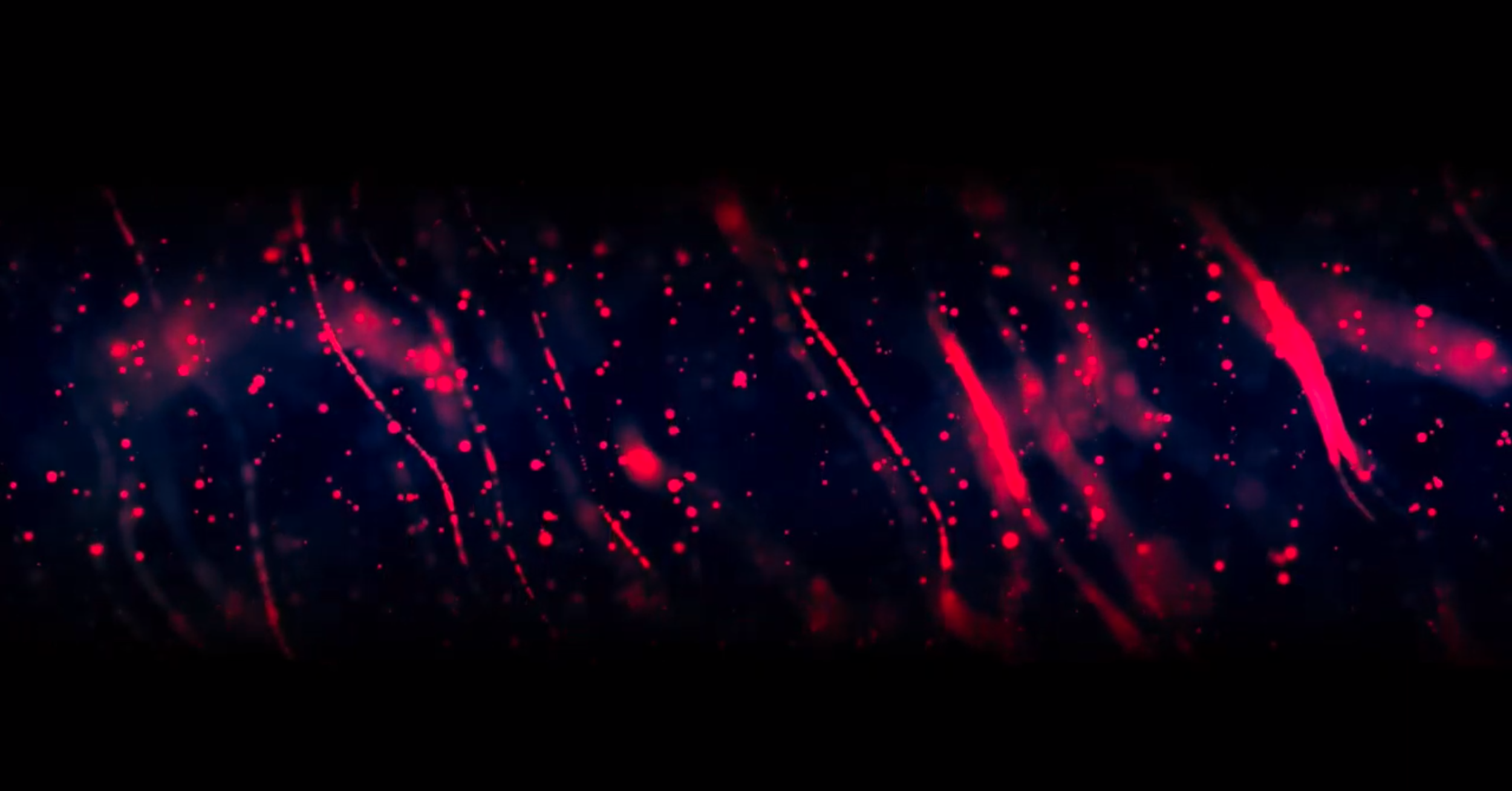 AUDIO DNA Background SOundbranding.png