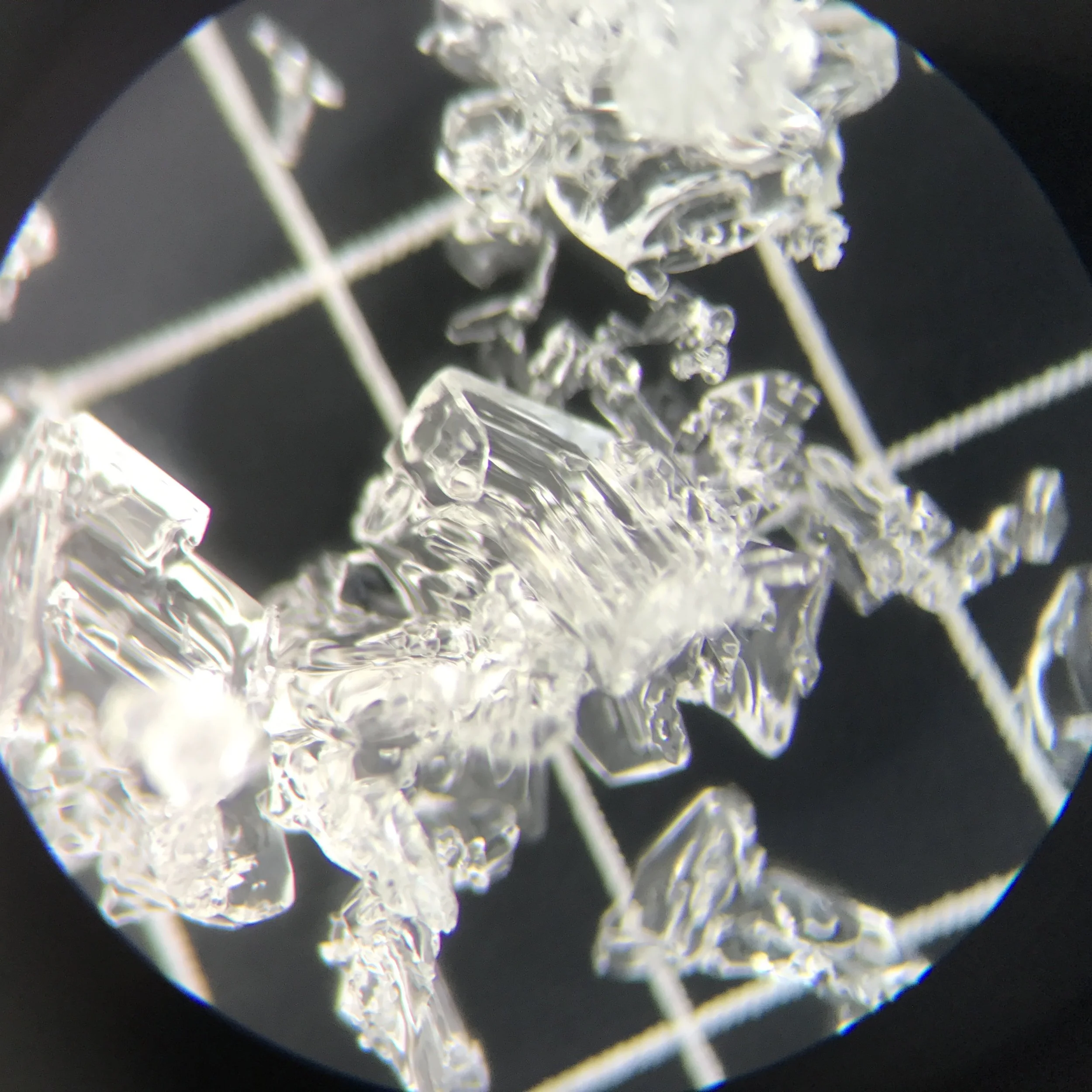 Berthoud Early Season