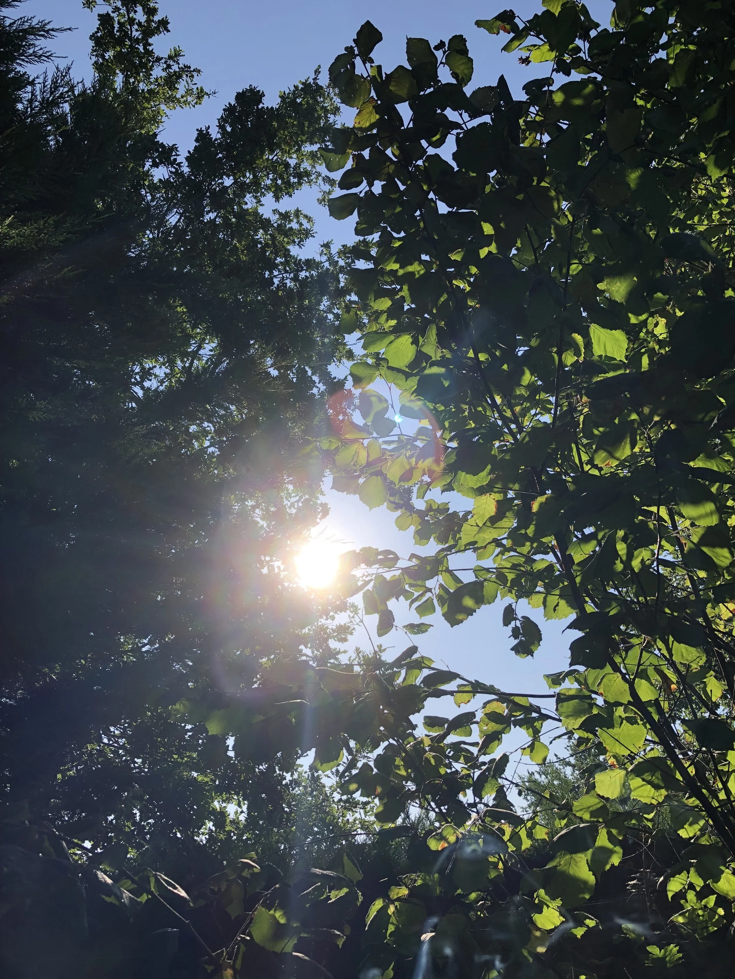 Edito de Juillet/Aout