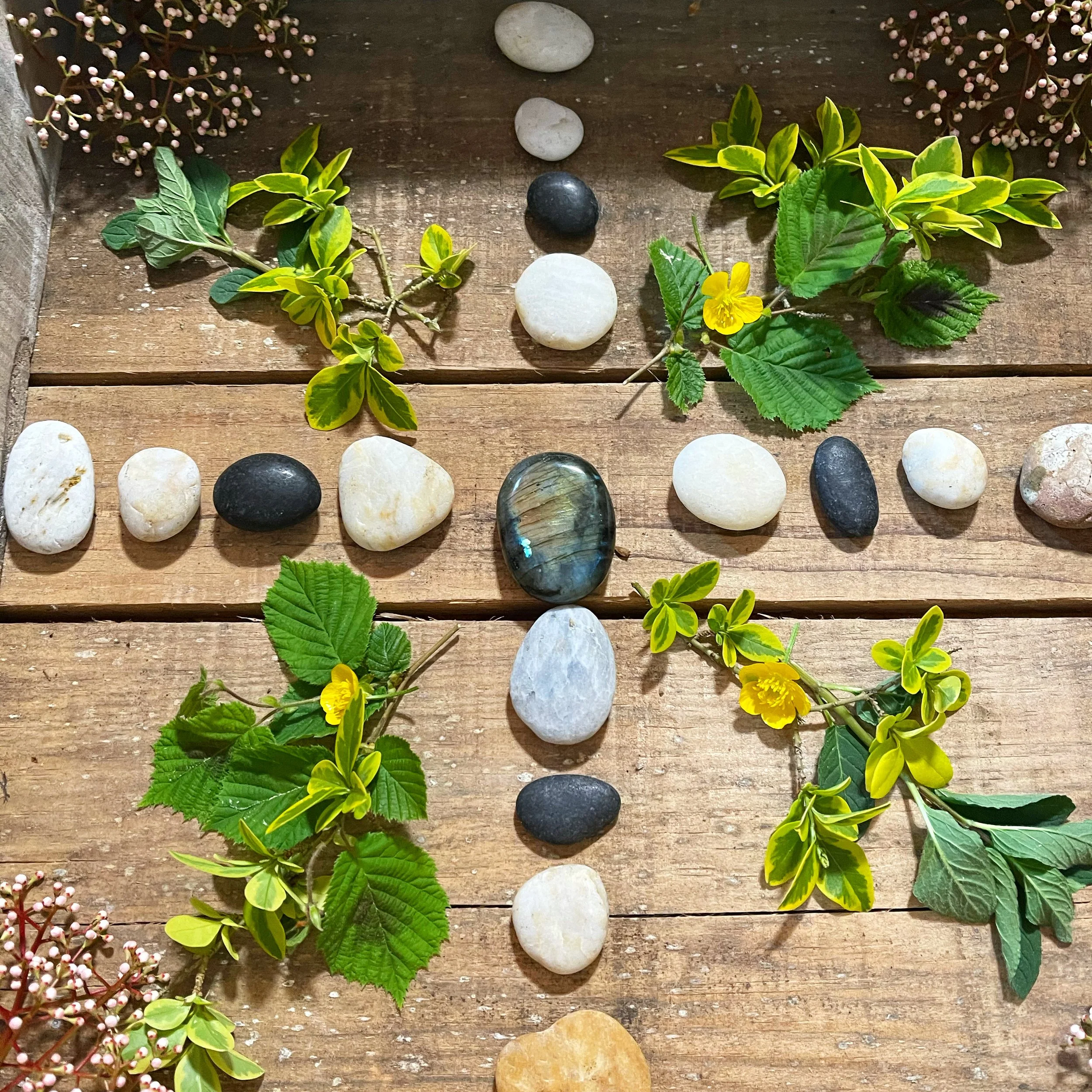 Vidéo 15mn - Méditation du soir, Gratitude