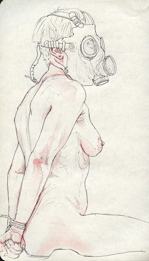 5" x 8" Ballpoint pen and red colored pencil on paper. 2016