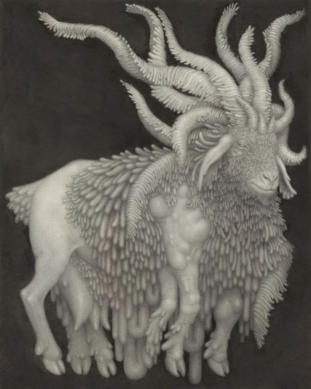 Night Goat