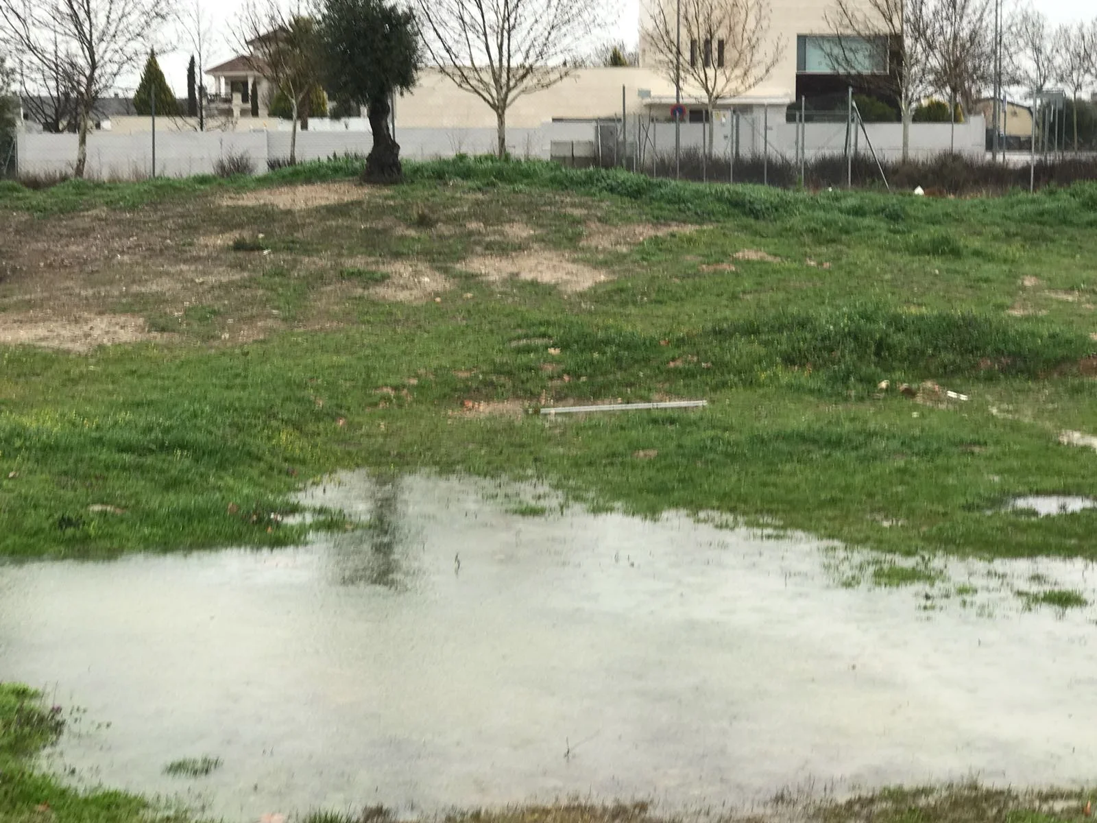 Rain, rain and rain ...soon I'll have a lake in the garden!