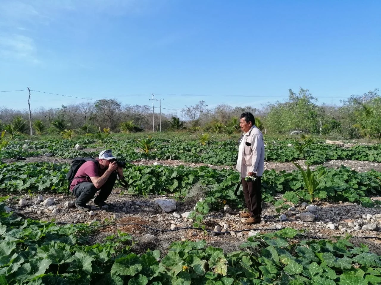 Storytelling with Masters