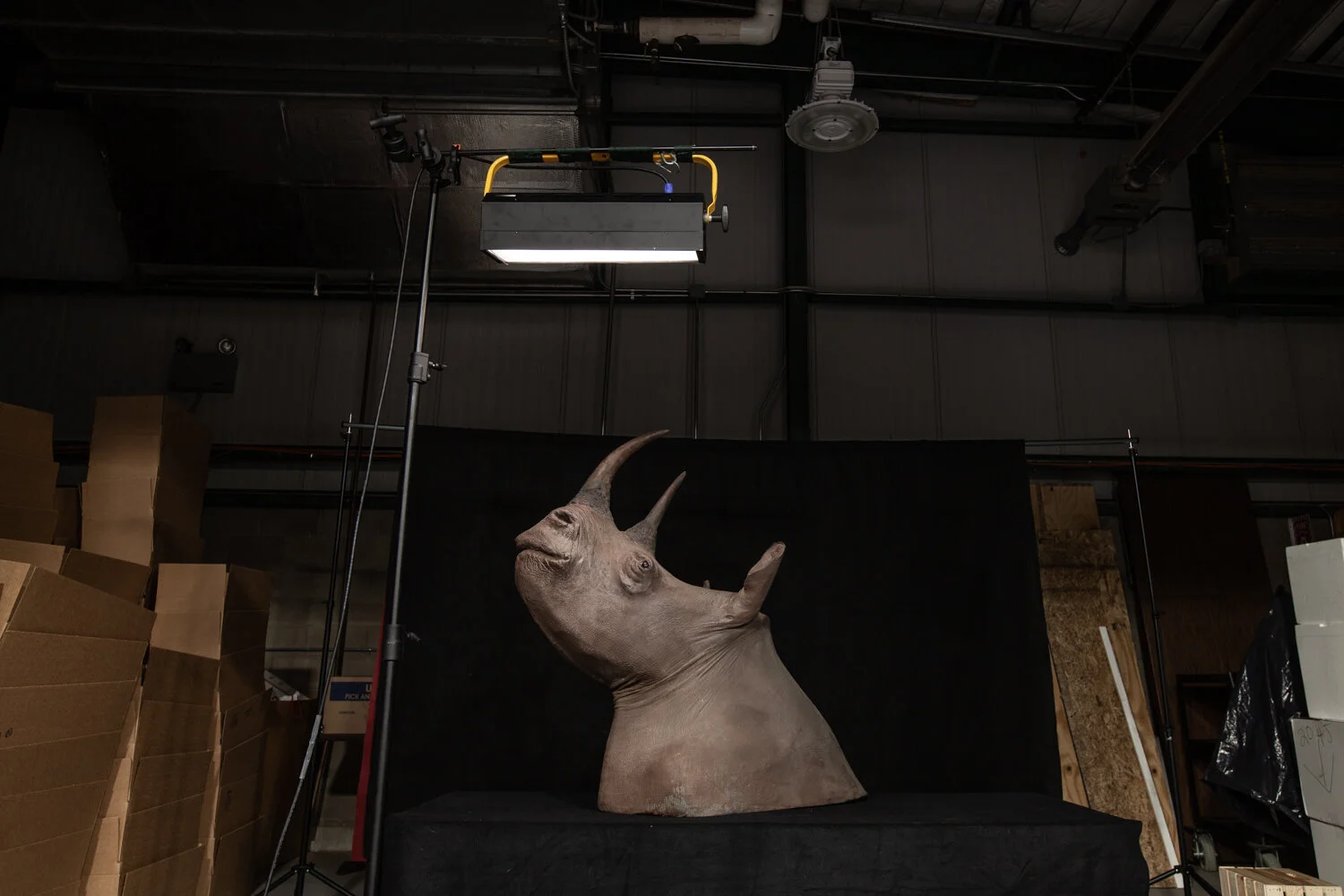 In Our Hands, They May Fall