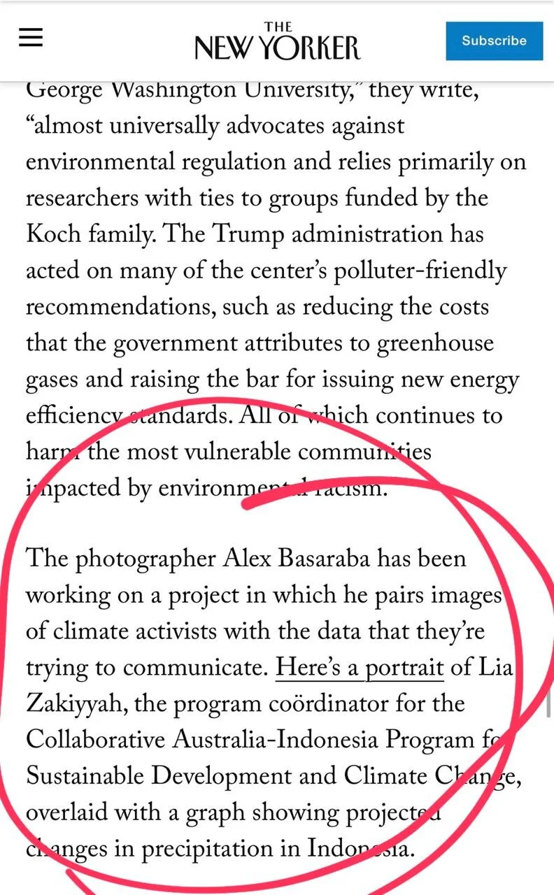 #wearestillhere, Bill McKibben, and the New Yorker