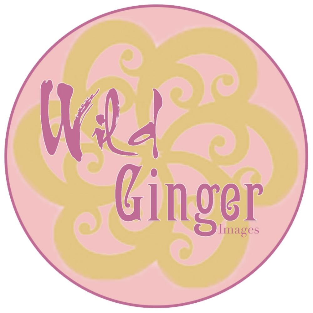 Wild Ginger Images