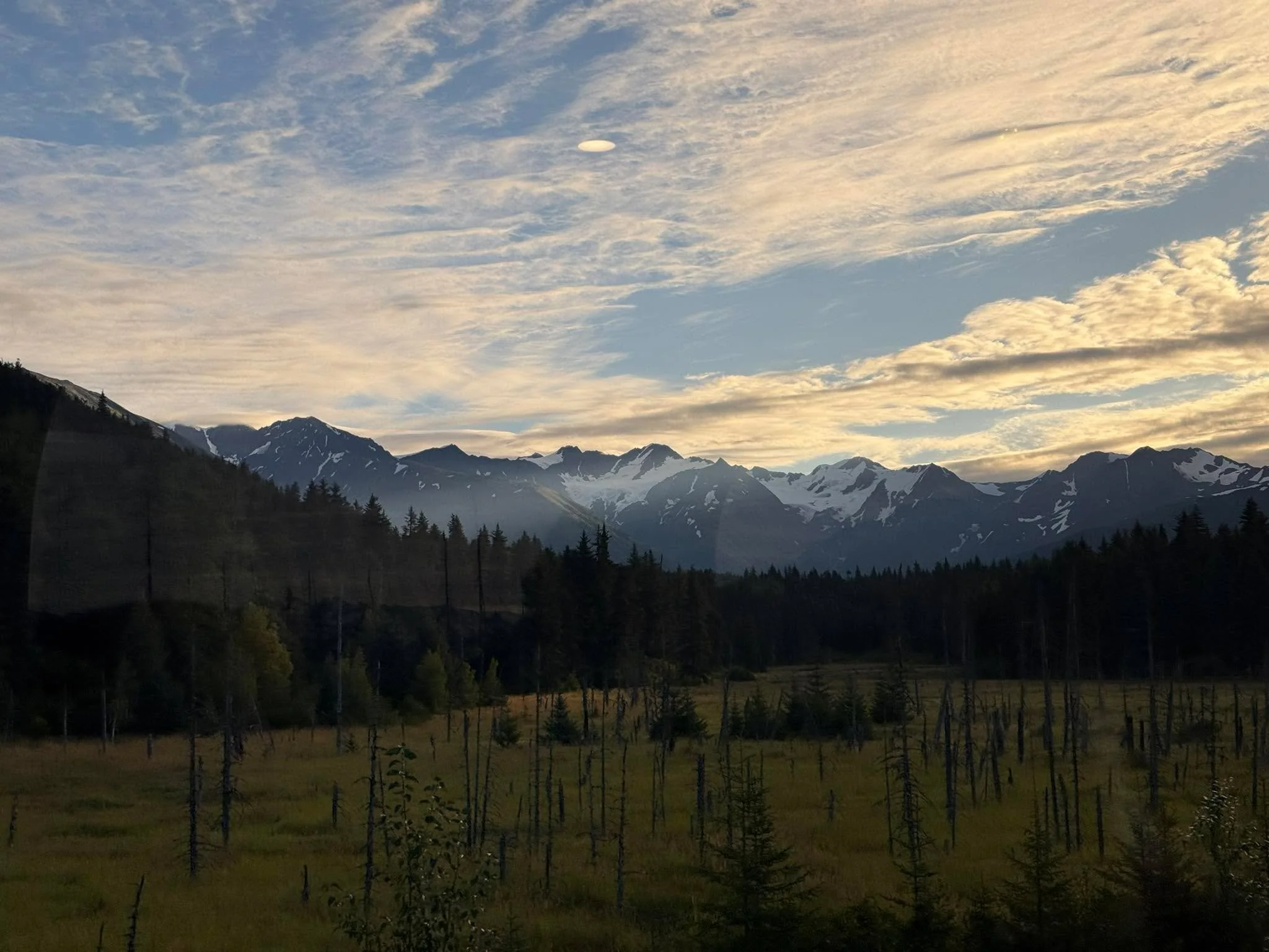 Been leaning into the little practices that help my body settle&hellip; the olive tree has been one of them lately.