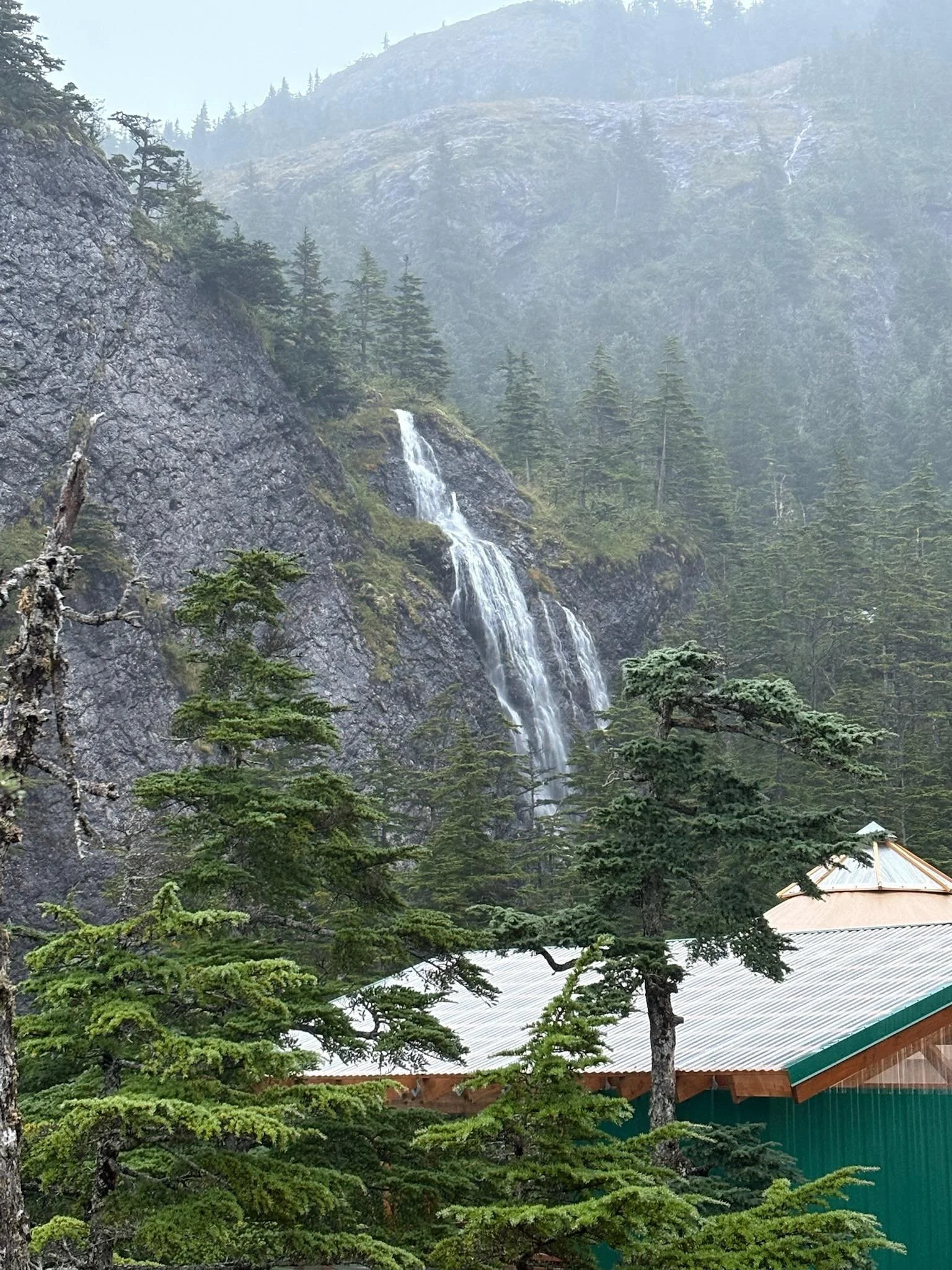 🌿✨ We&rsquo;re kicking off something beautiful today&hellip; ✨🌿

Our Olive Tree People team is hosting a free week-long virtual event all around simple rituals, inner&ndash;outer beauty, and the magic of the olive tree.

I&rsquo;ll be hanging out t