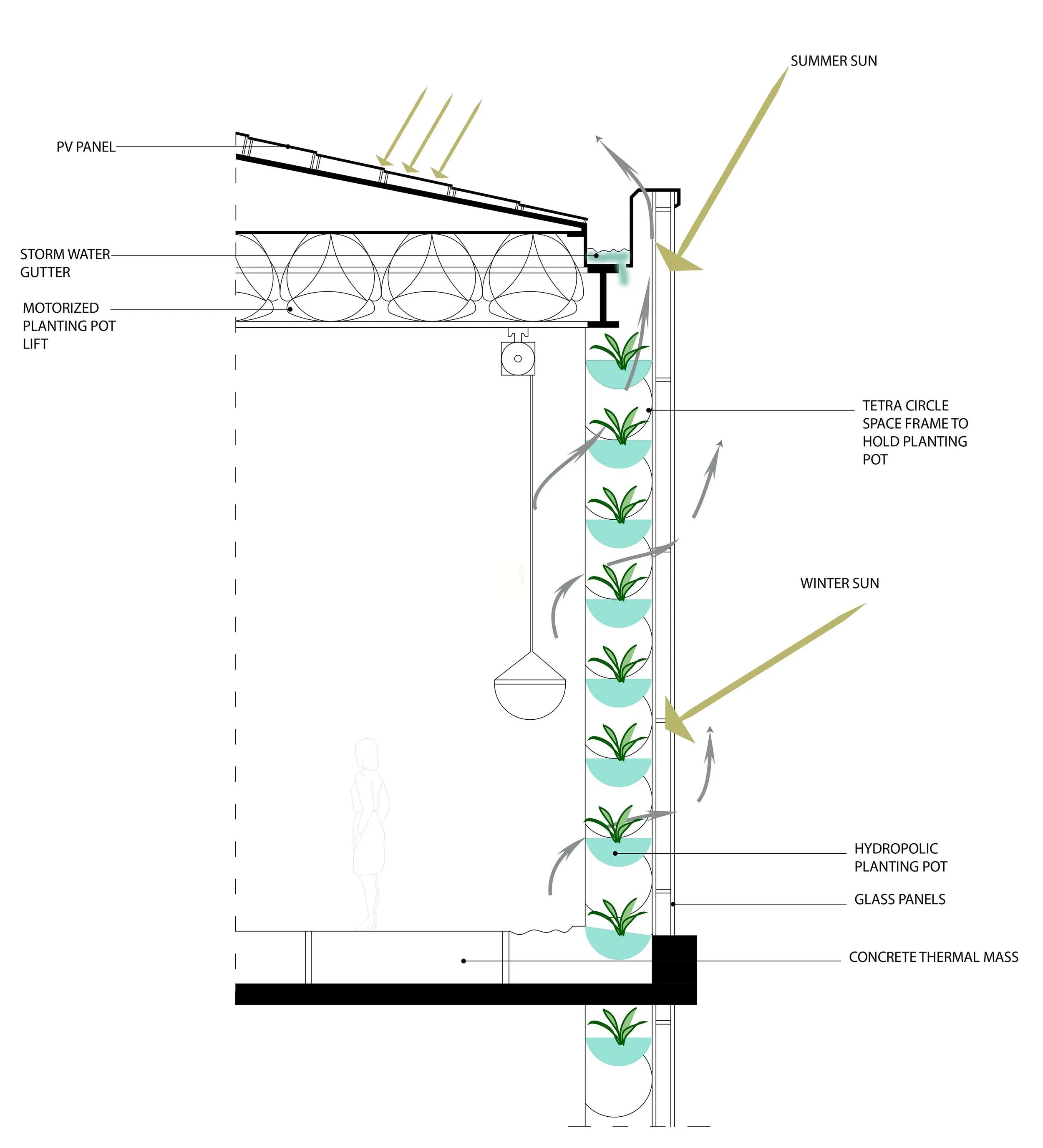 Wallsection through the vertical garden