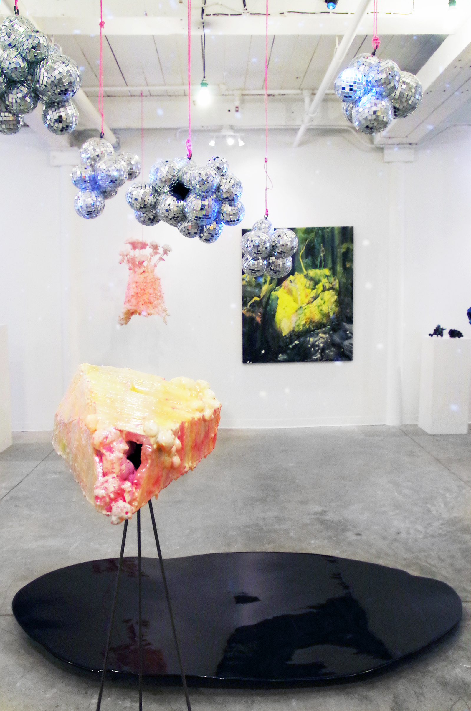 11. Installation shot of  !SUPER VISION! by Leah Piepgras.jpg