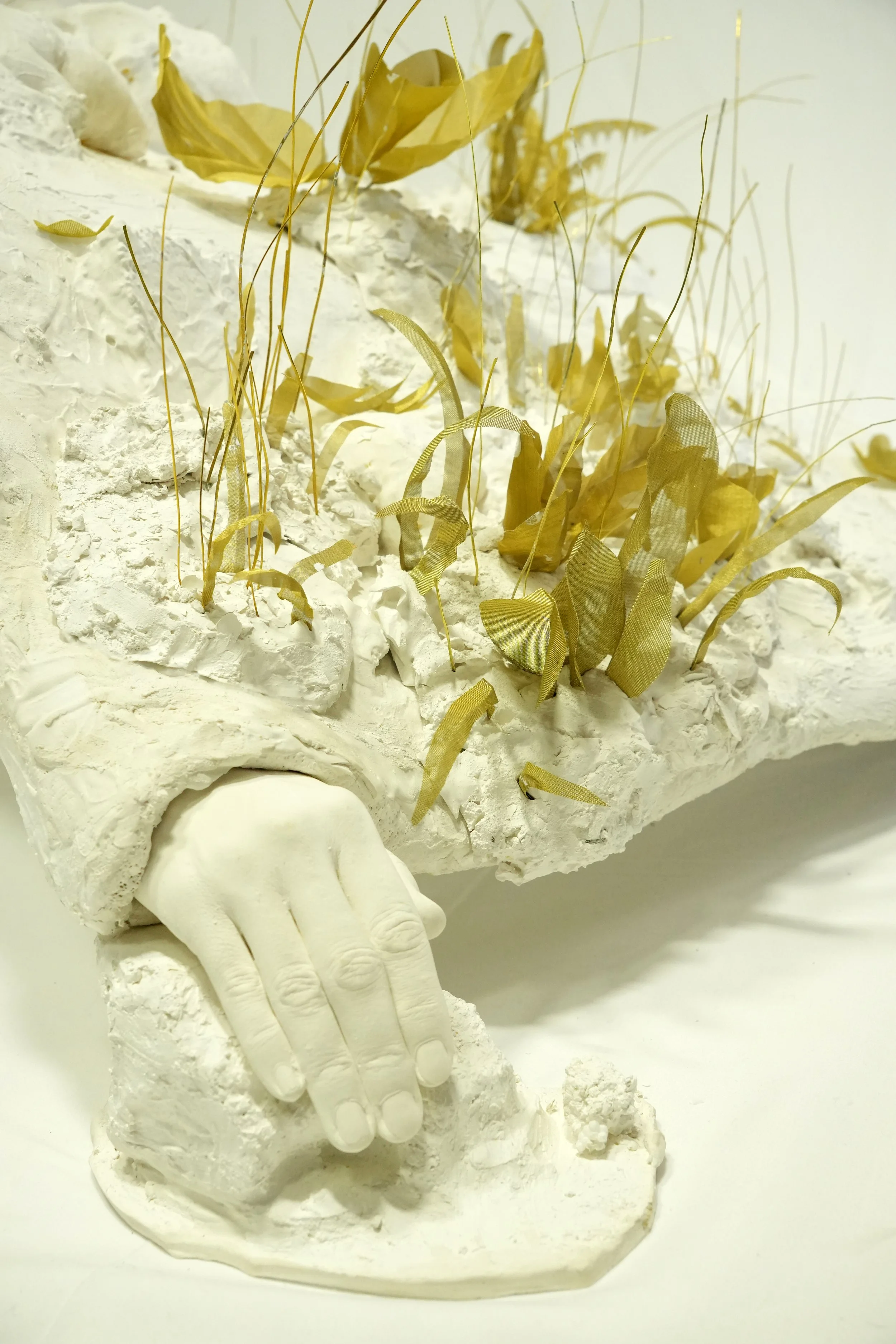 Earth MOTHER hand.jpg