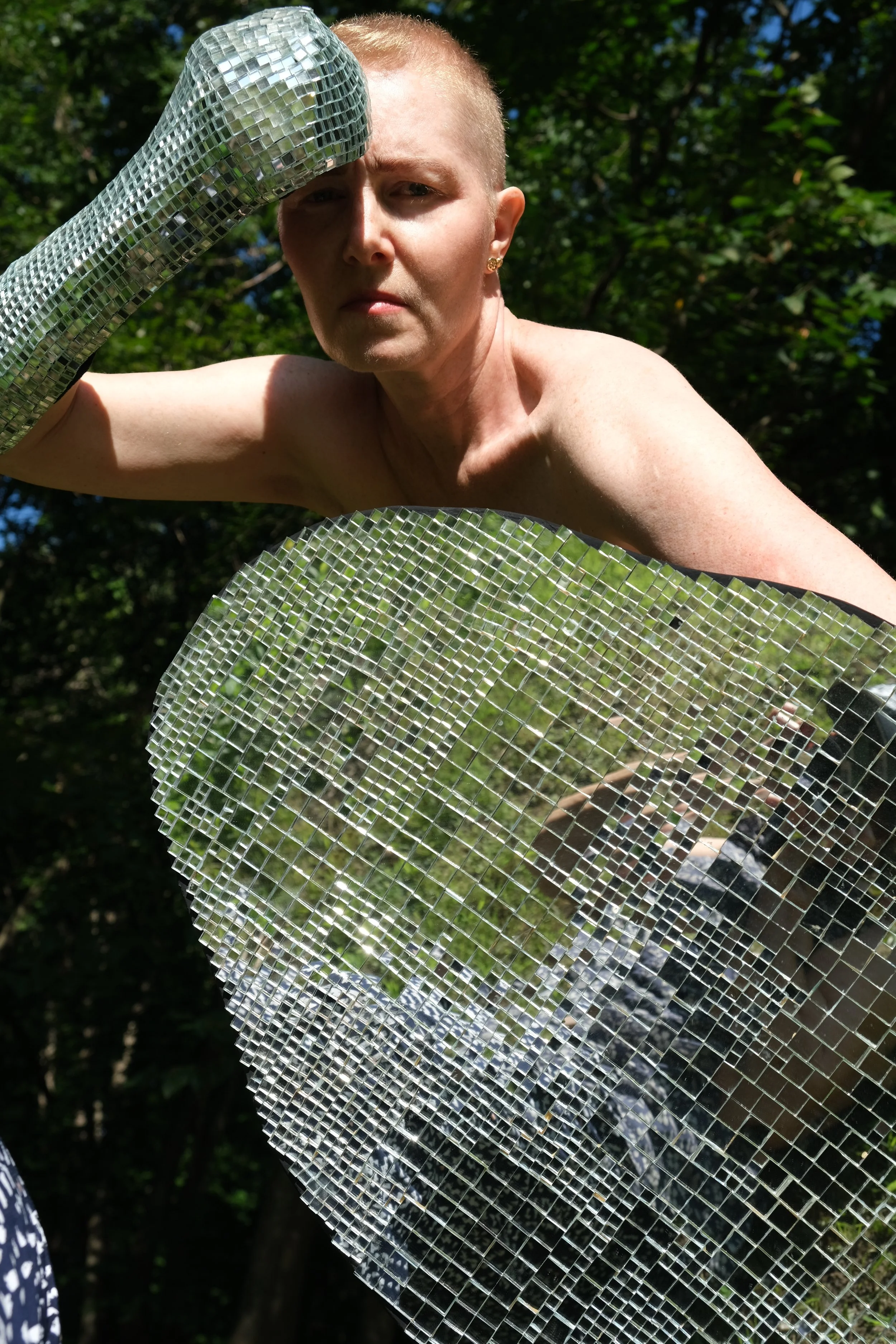 A. shield close.jpeg