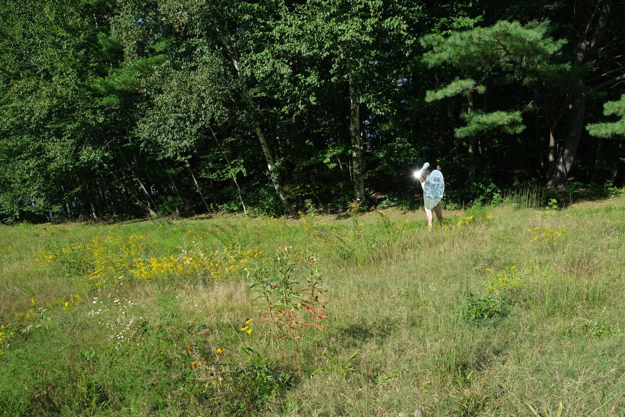 Printed Field sheild .jpeg