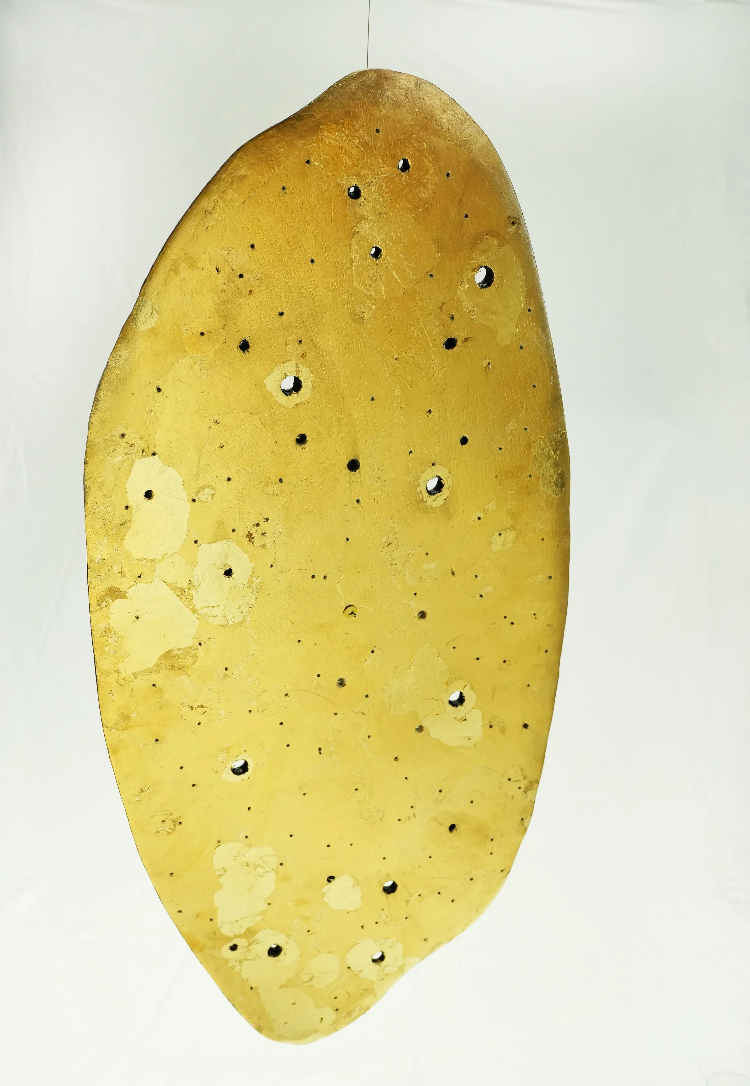 Celestial Body shield gold.jpg