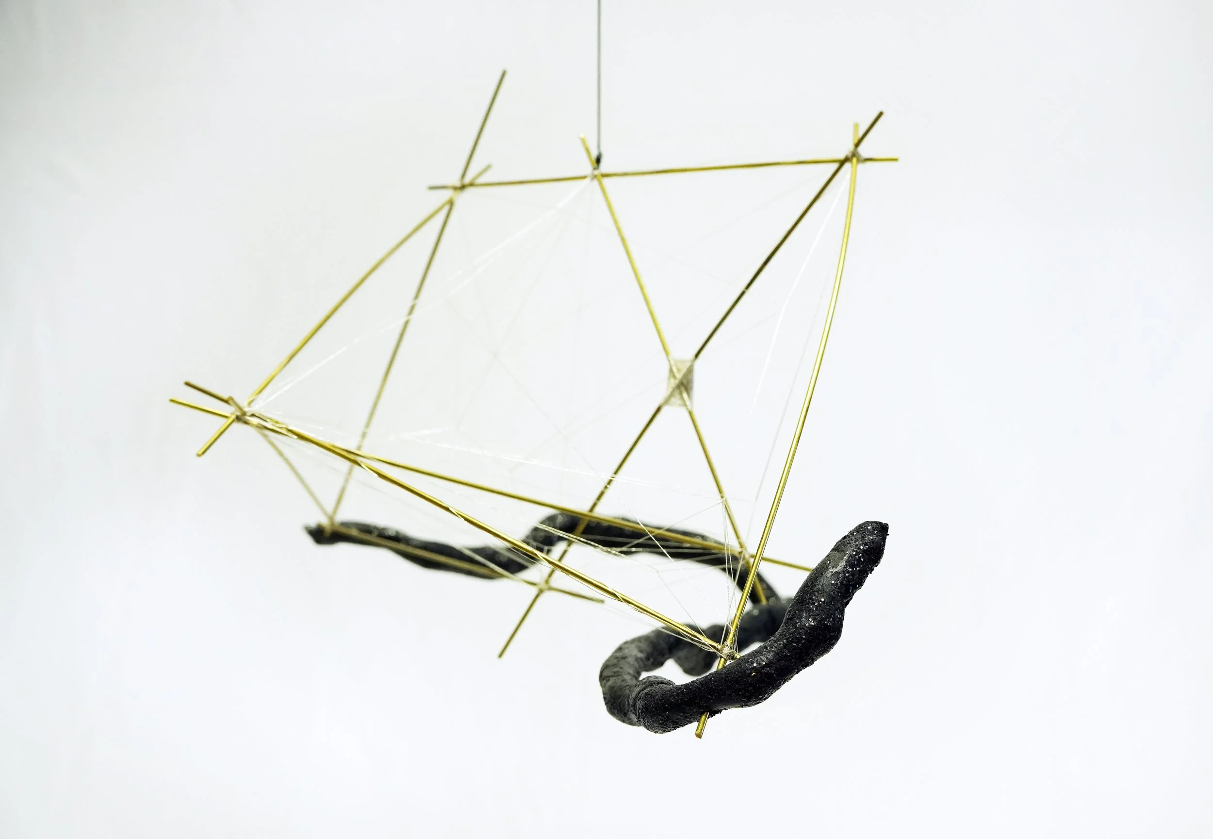 Cognition 1.jpg