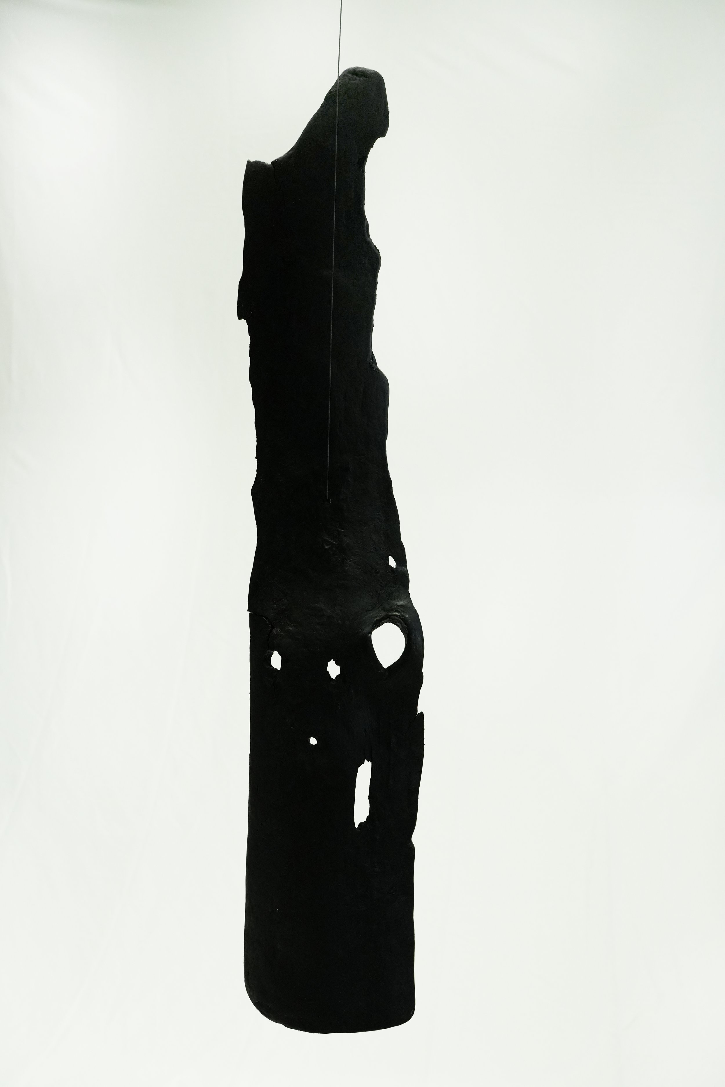 Face Shield 1.jpg