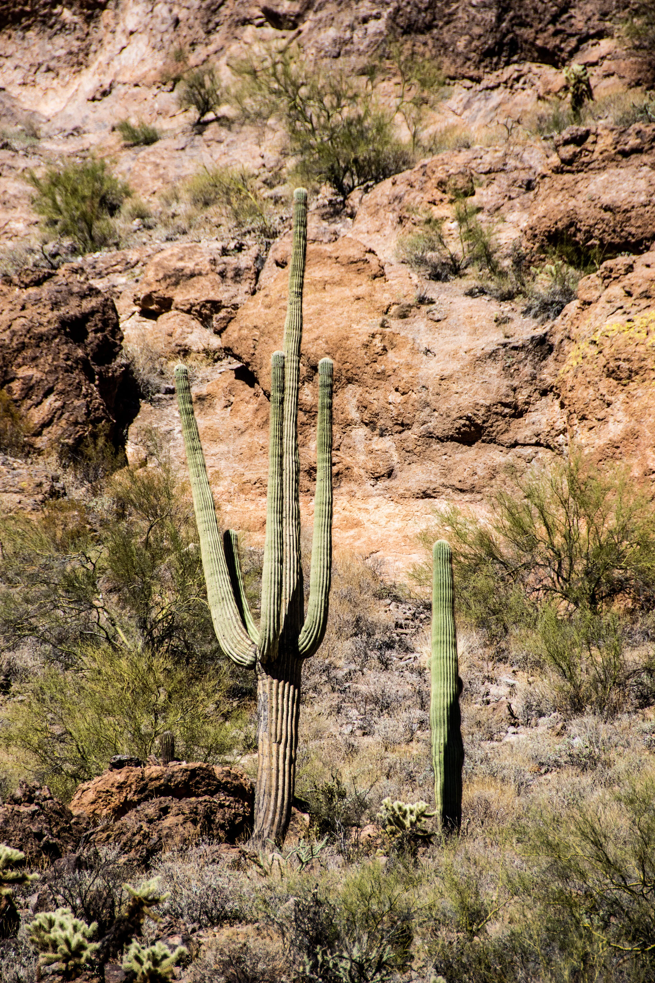 DSC_4719.jpg