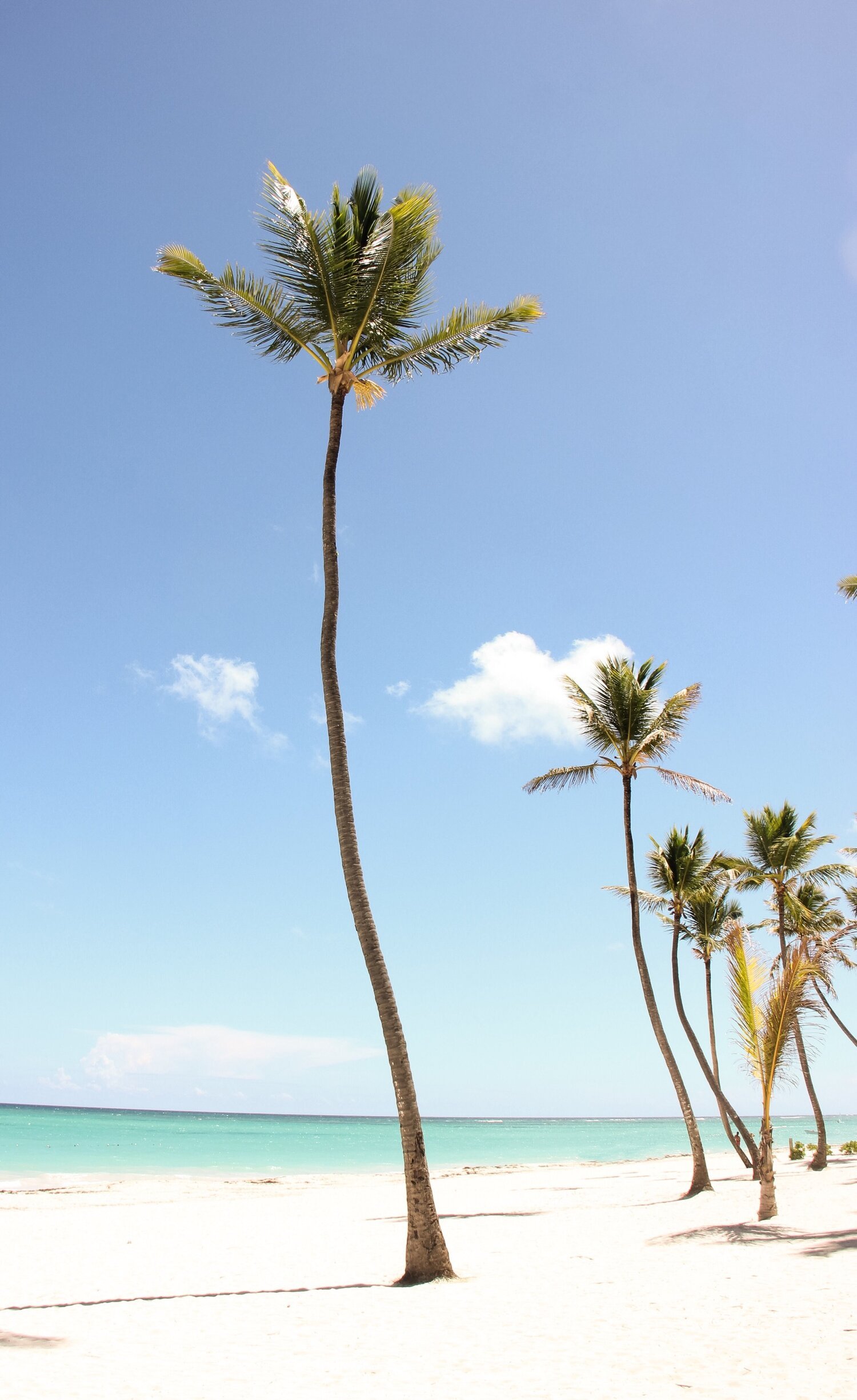Our Honeymoon in Punta Cana