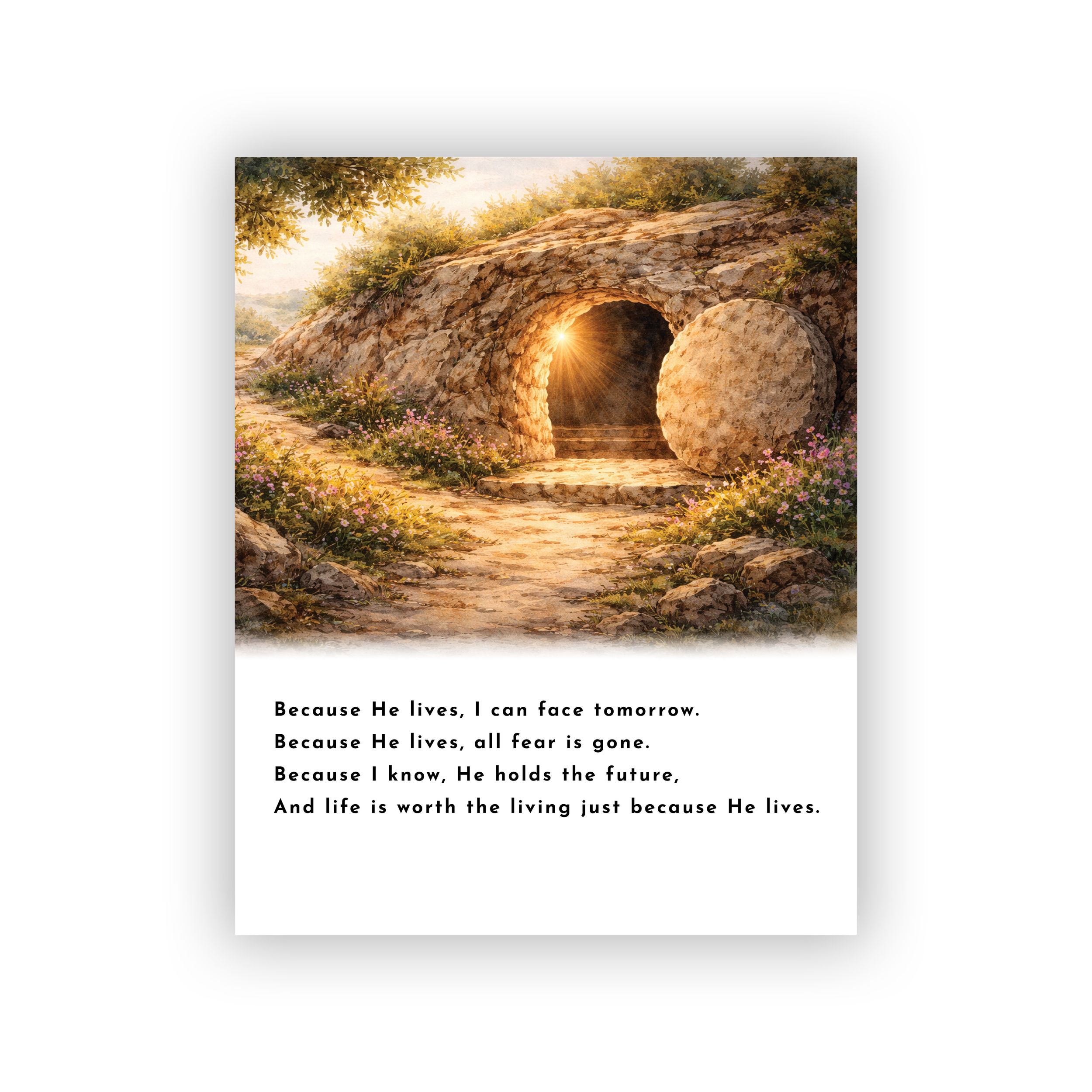 sdc-prnt-8x10-84 thumnails.png