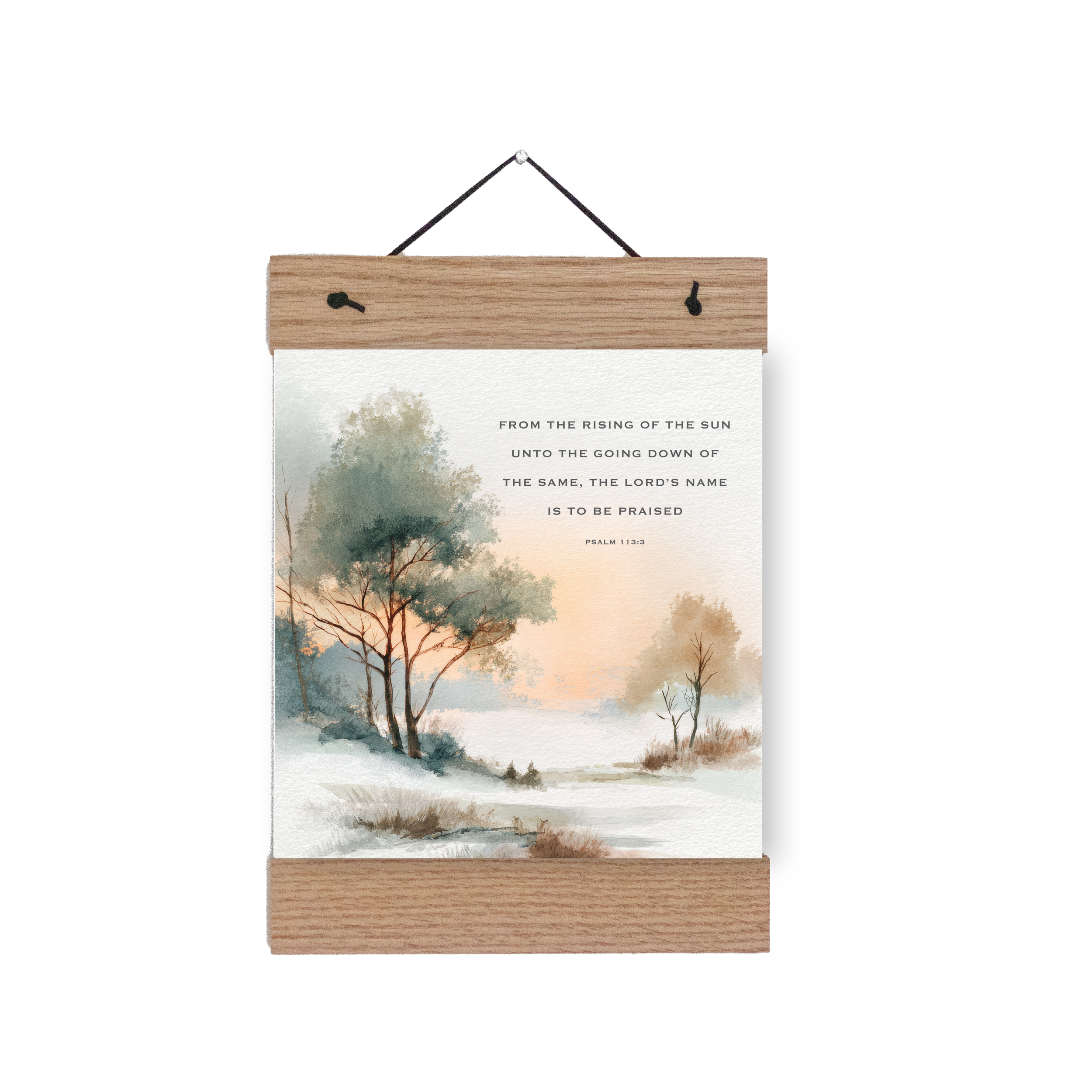 sdc-prnt-810-81 thumbnail.png