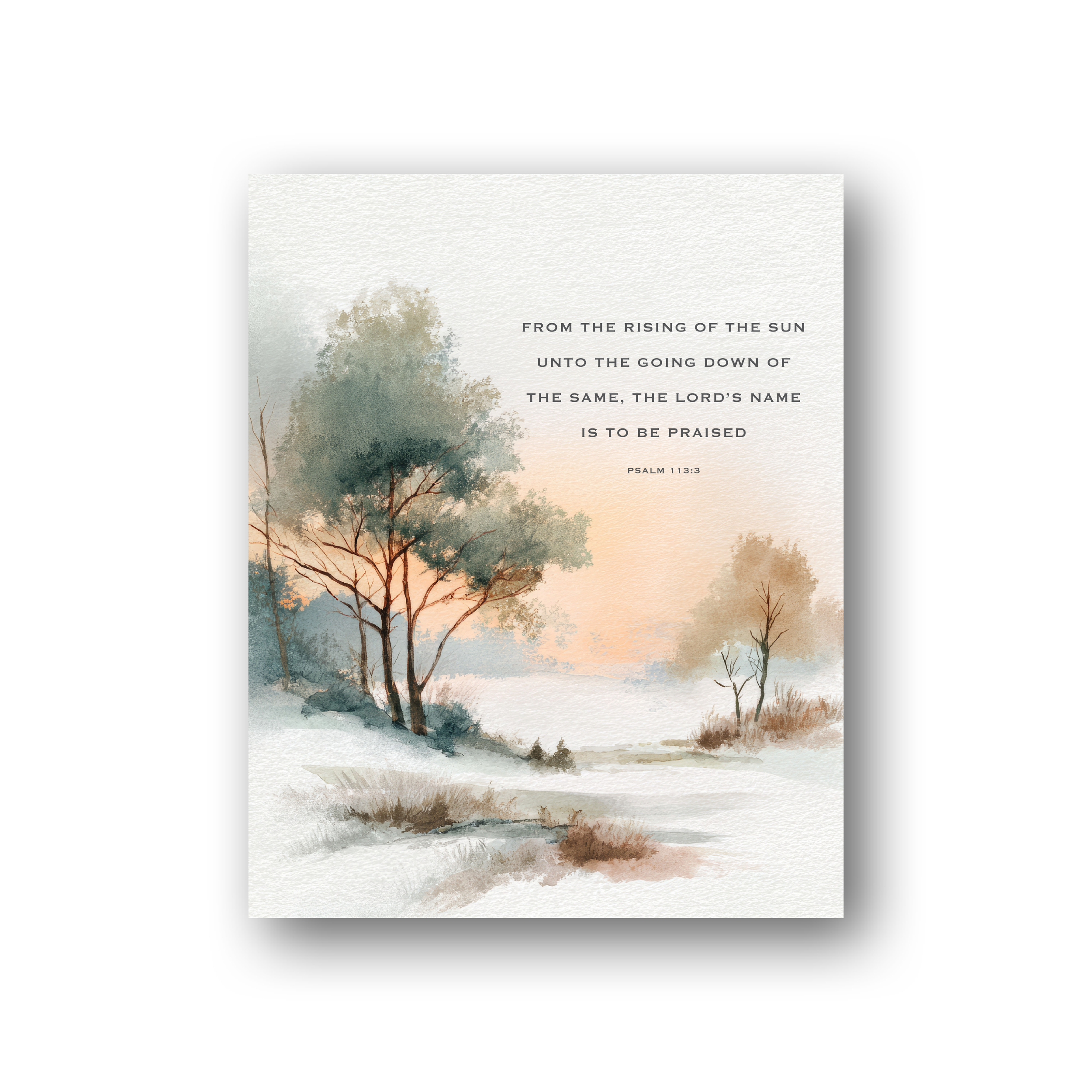 sdc-prnt-810-81 thumbnail2.png