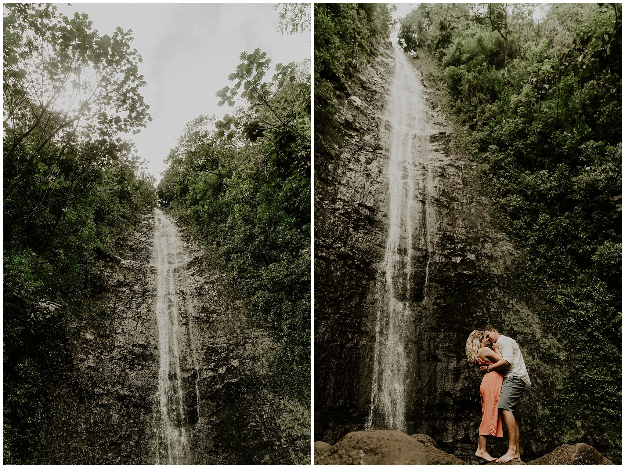 manoa-falls-photography1.jpg