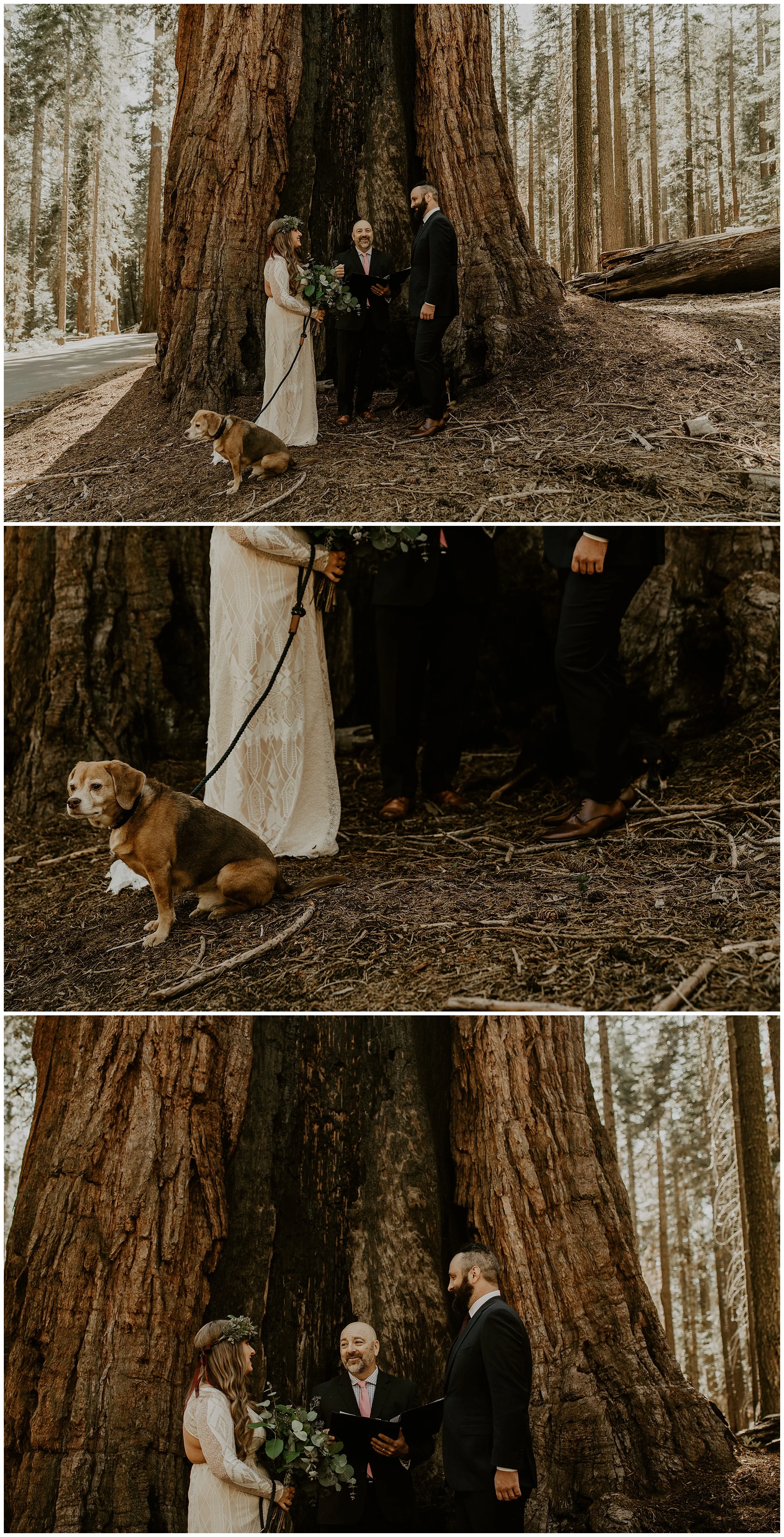 mariposa-grove-yosemite-elopement2.jpg