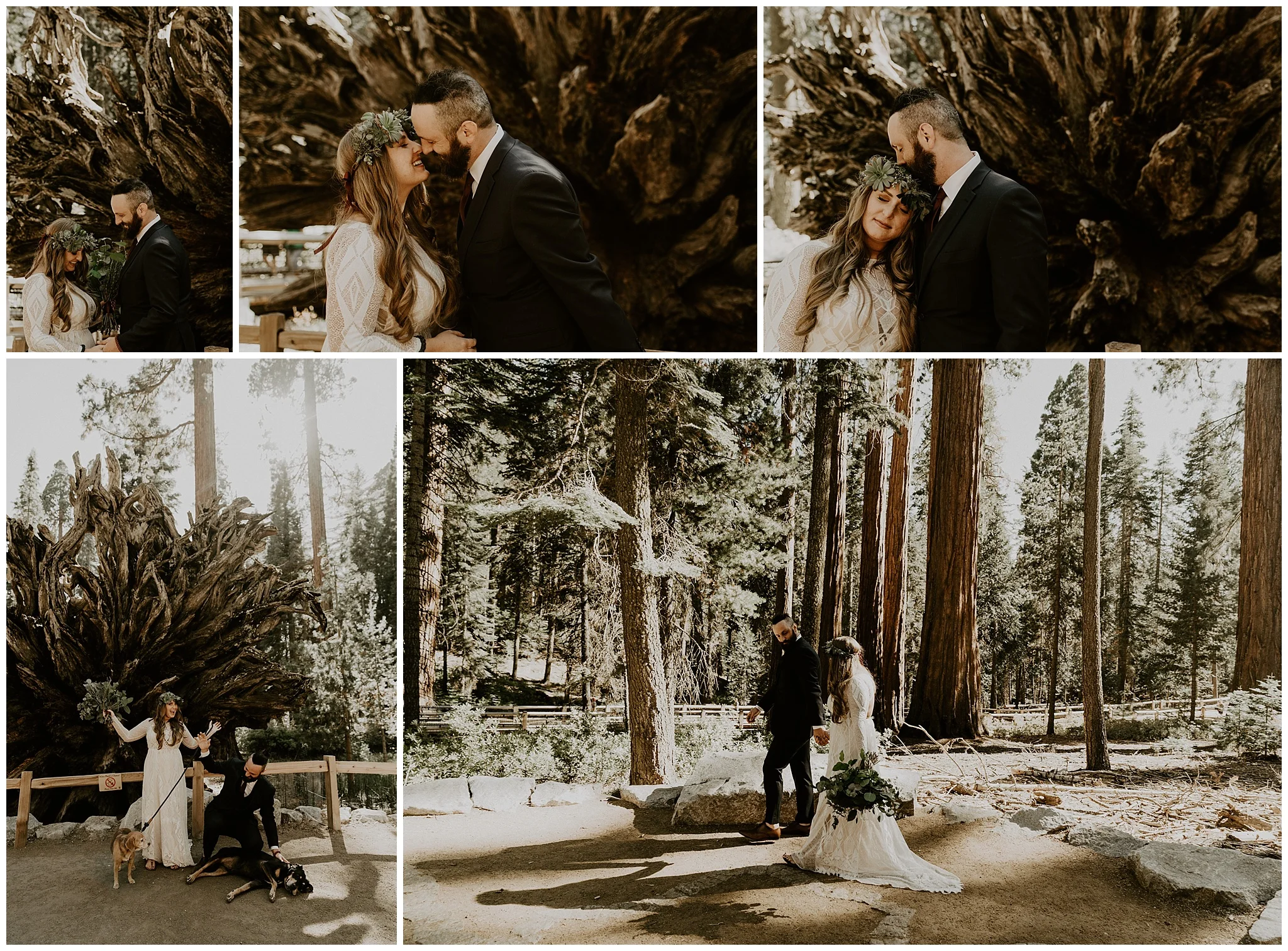 mariposa-grove-yosemite-elopement7.jpg