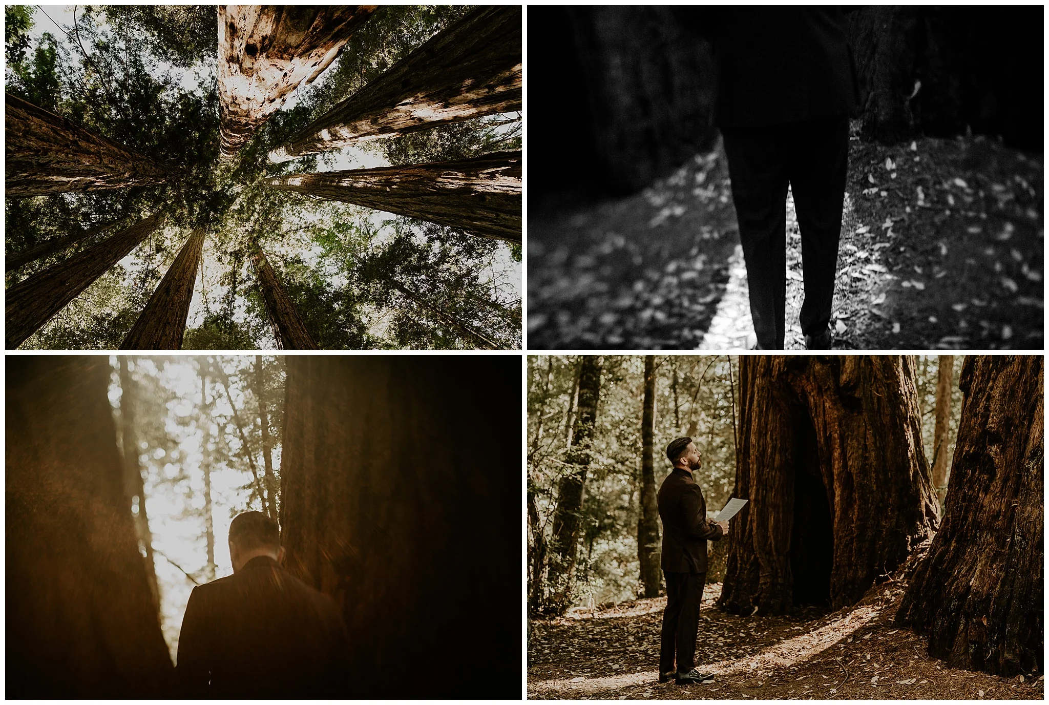 redwood-forest-wedding2.jpg