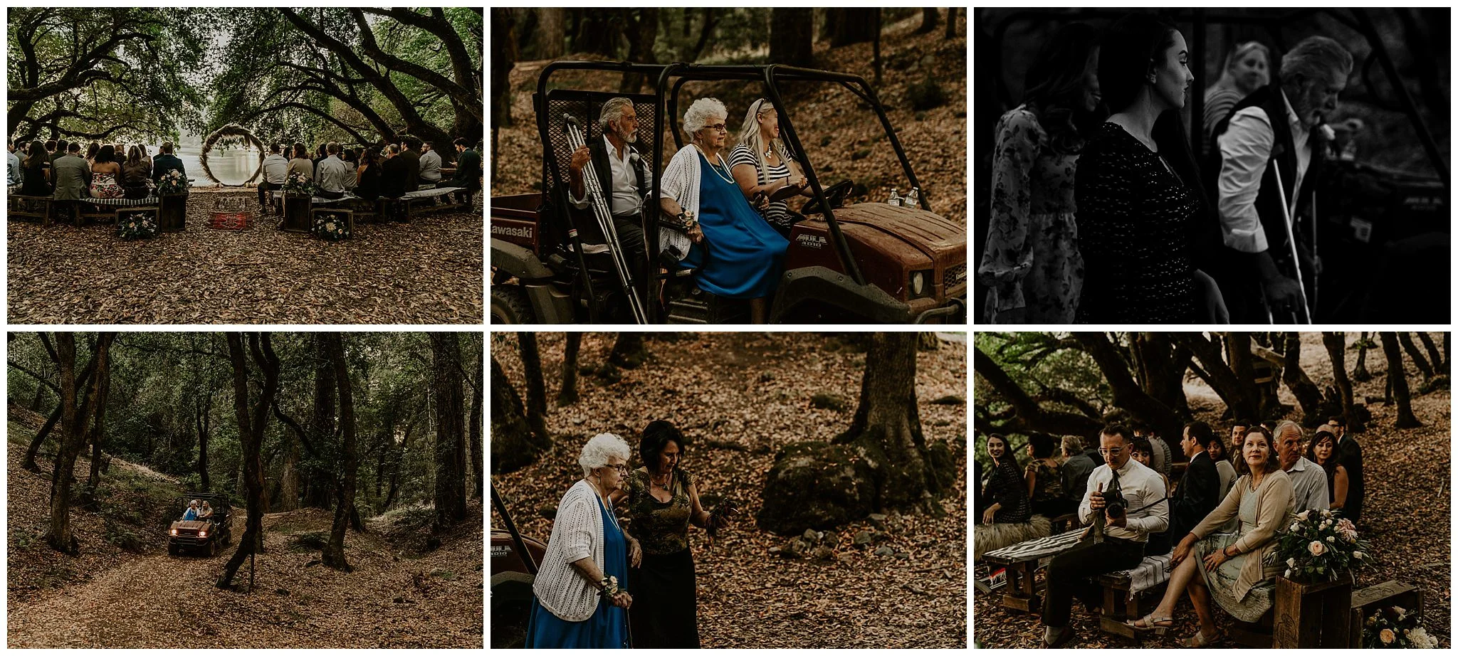 redwood-forest-wedding9.jpg