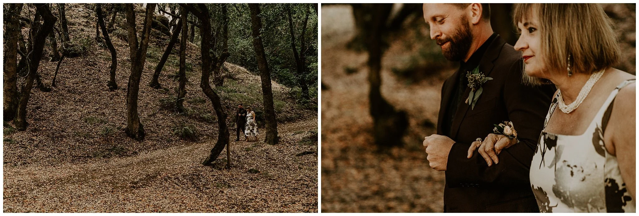 redwood-forest-wedding10.jpg