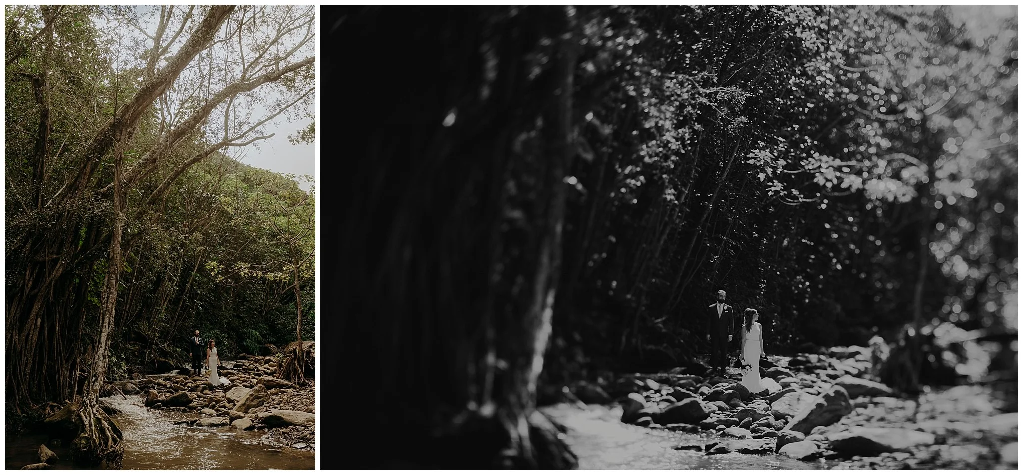 Hawaii-Elopement-Photographer8.jpg