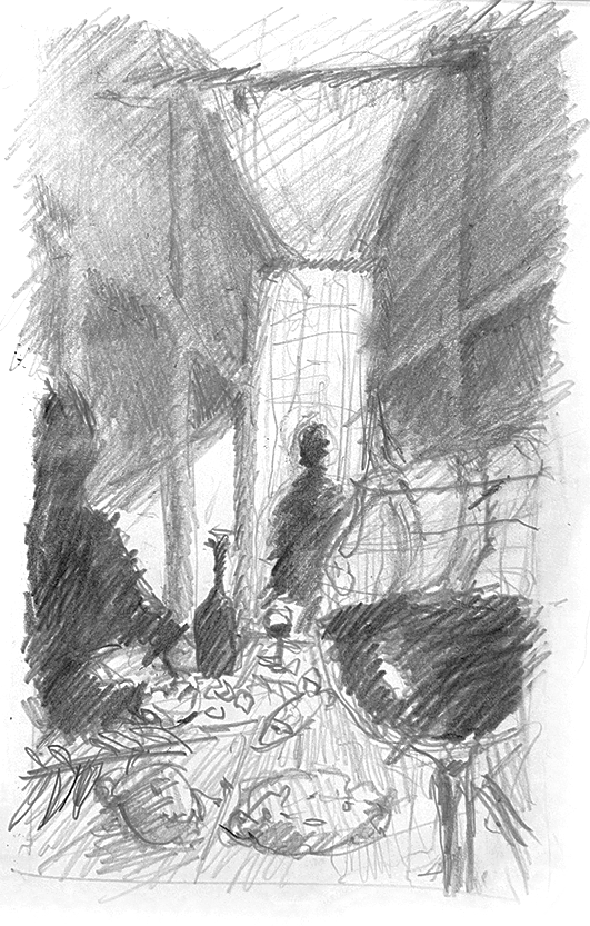 250624_sukkah_1_3.png
