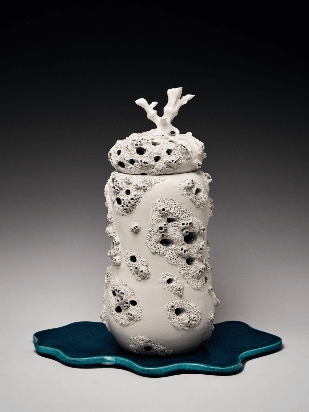 Palau Bleached Coral Reef —Joan Takayama-Ogawa Ceramics Gallery