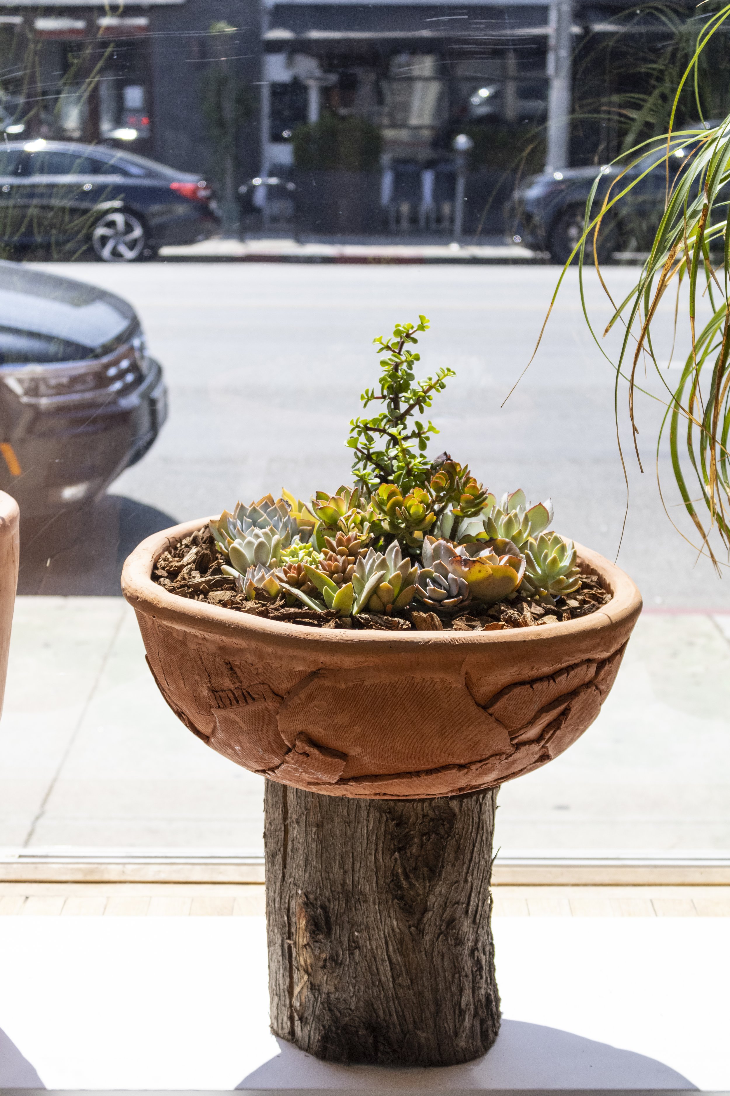 Shallow Planter