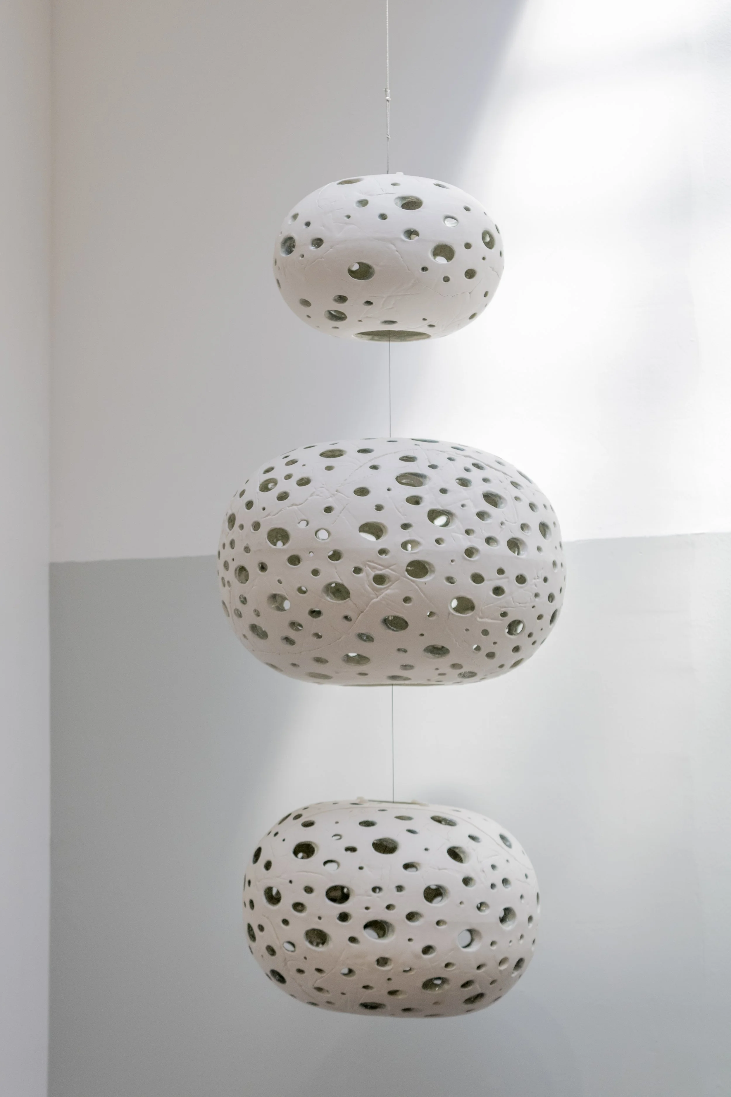 Bleached Coral Chandelier