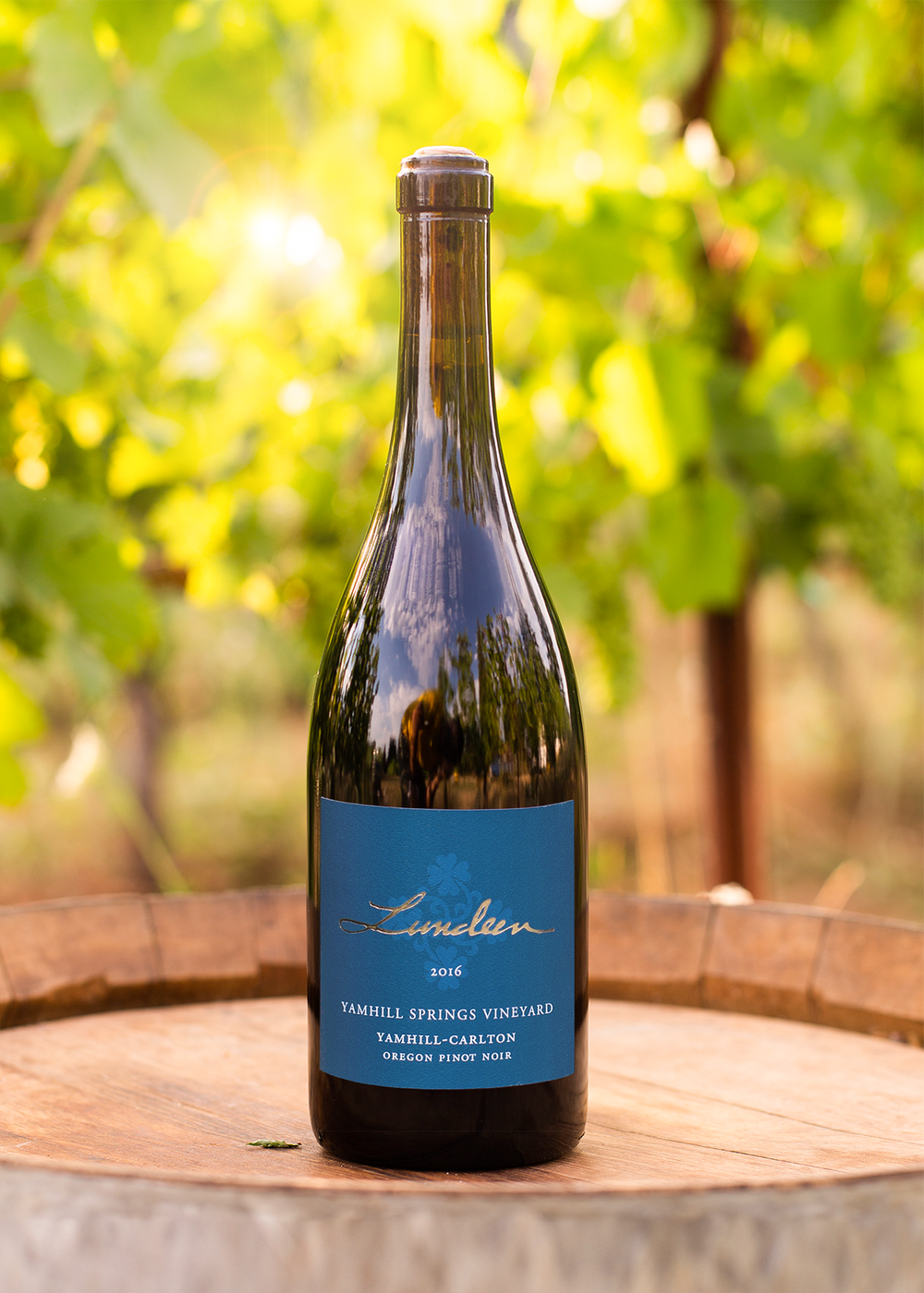 Yamhill Carlton 2016 Penner Ash Pinot Noir Penner-ash Wine Cellars - Main Image