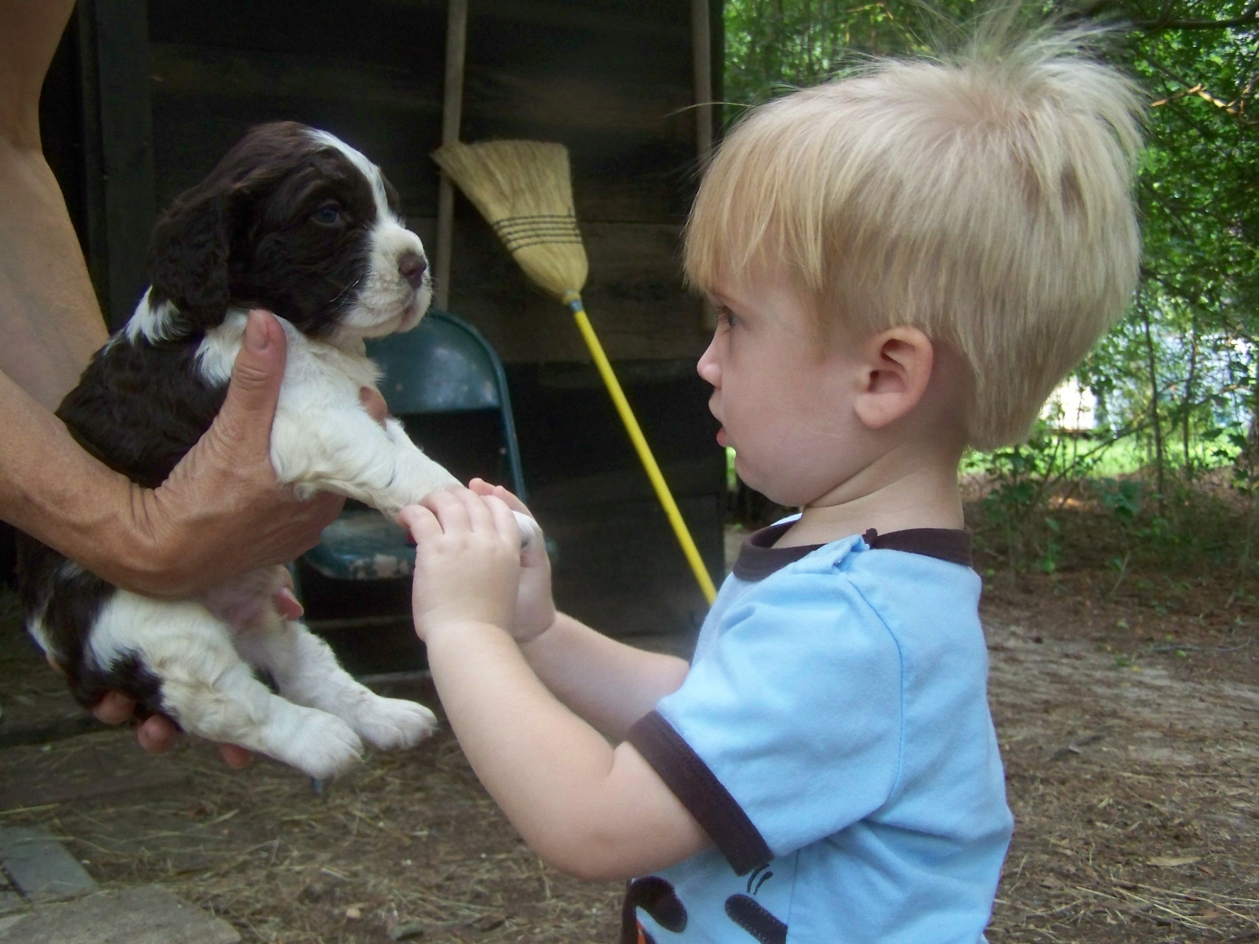 Liam at age 2 with my mom and her pup