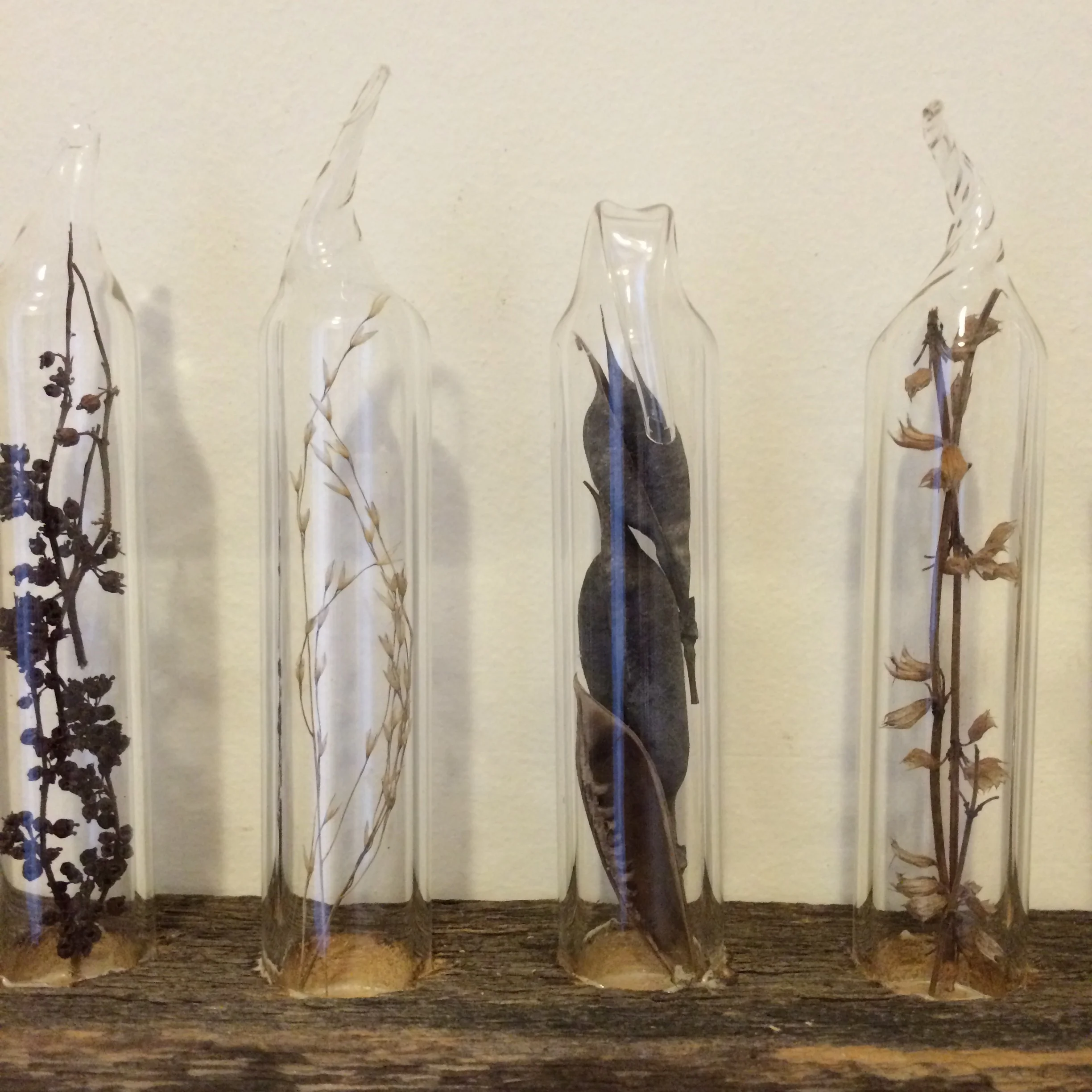 Untitled (g.) -31" x 8", spring 2016, barnwood, glass & dried flora
