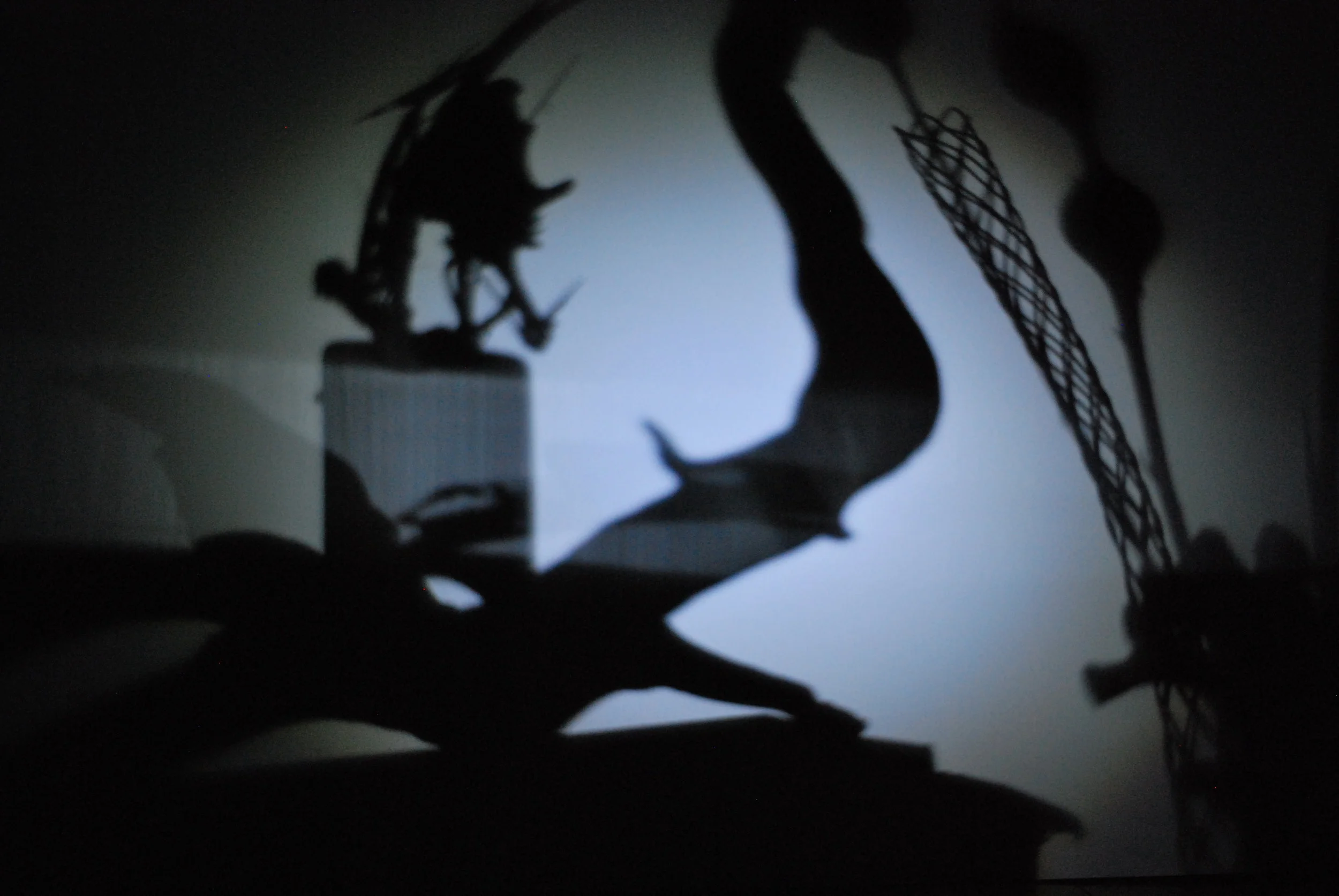 Shadow stills (taken for Stop Motion Film Compilation), above and two images below, December 2015, digital photographs