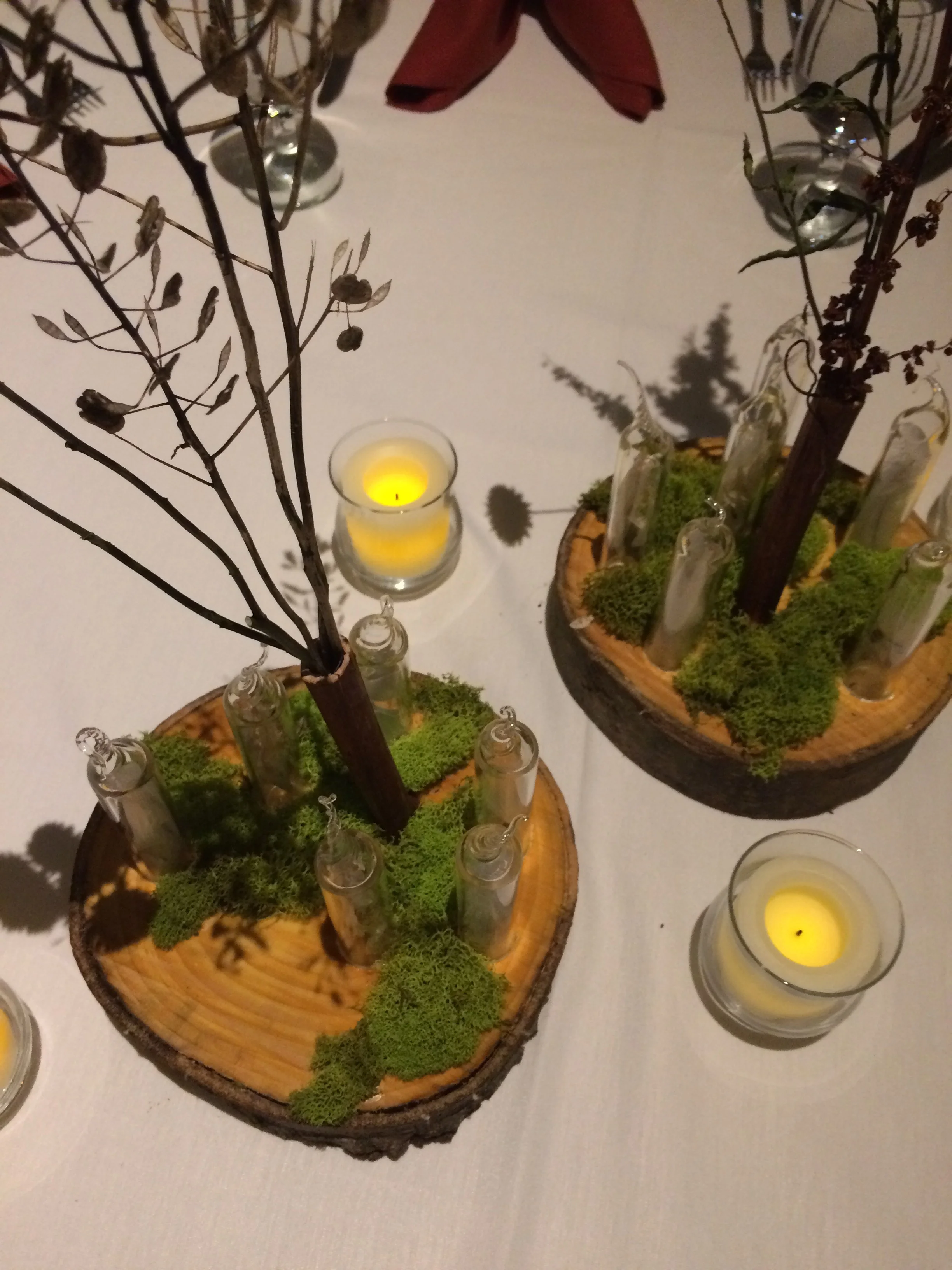branch & flora centerpieces, for lauren & drew, 11" x 7", summer 2016, tree slice, moss, glass, garlic, orchid, eggshell, hasta, milkweed seed & dried flora- co-created with Marina Gershon