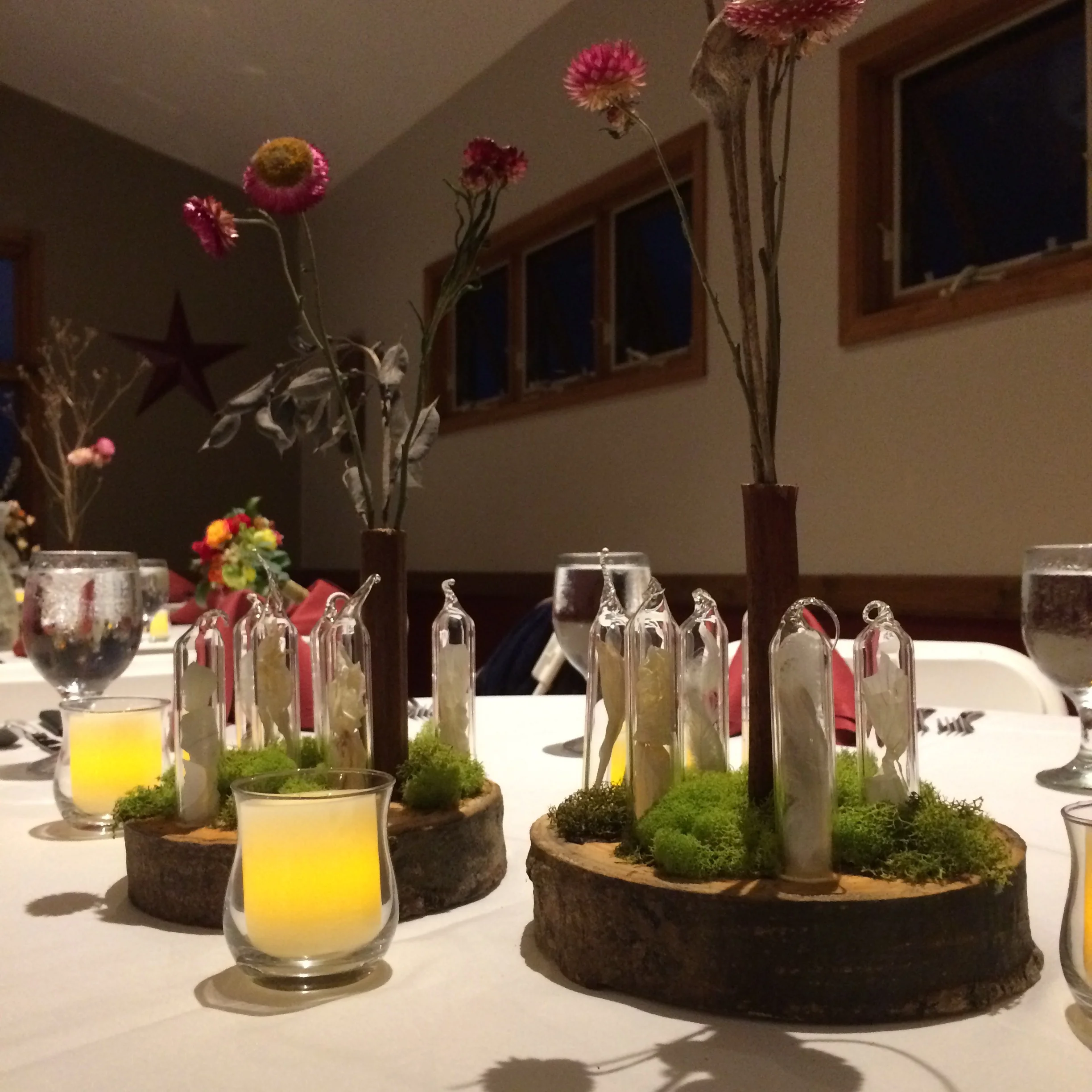 branch & flora centerpieces, for lauren & drew, 11" x 7", summer 2016, tree slice, moss, glass, garlic, orchid, eggshell, hasta, milkweed seed & dried flora- co-created with Marina Gershon