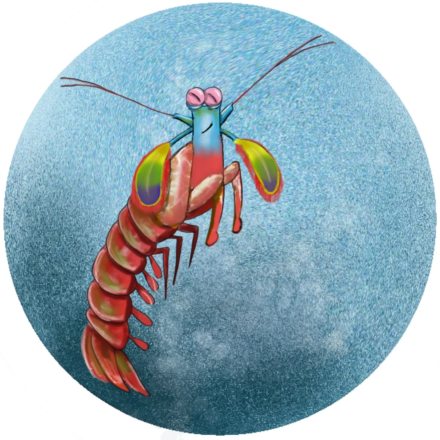 undersea-abc-2.jpg
