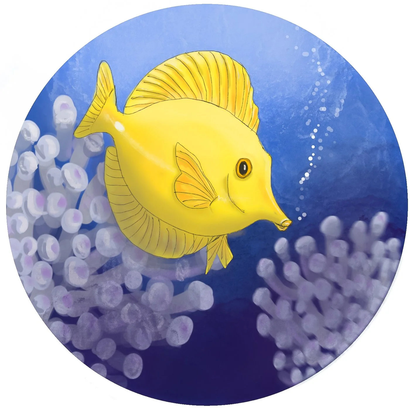 undersea-abc-3.jpg